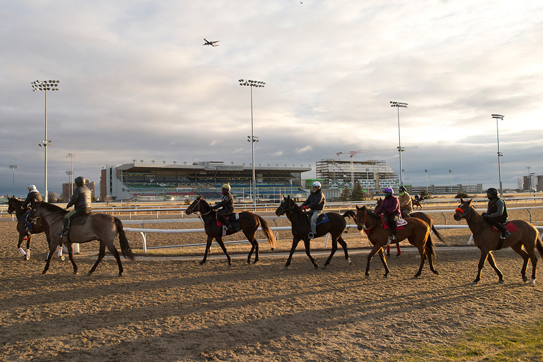 Morning training at Woodbine on April 11