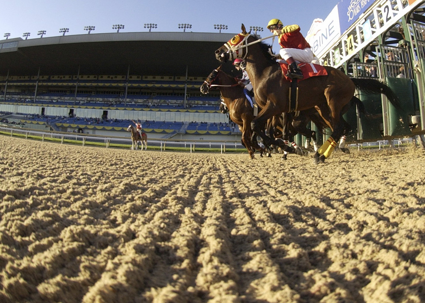 Woodbine Polytrack