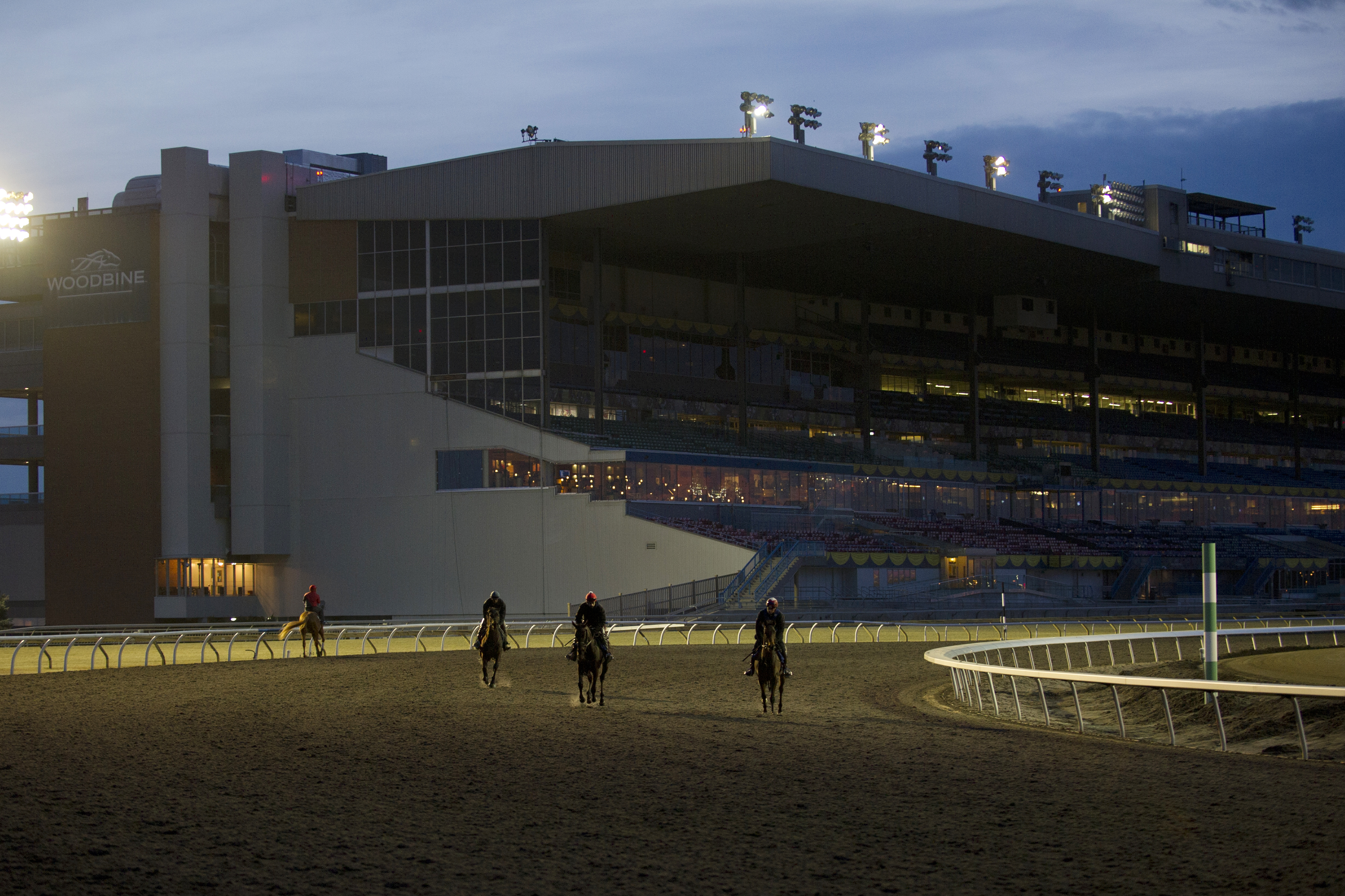 Woodbine Racetrack early training
