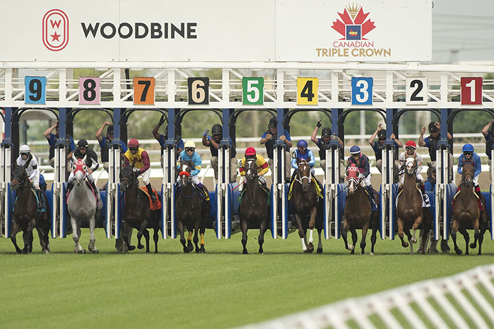 Woodbine inner turf course first race, June 28, 2019