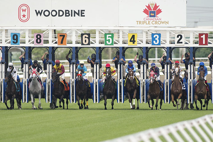 Woodbine