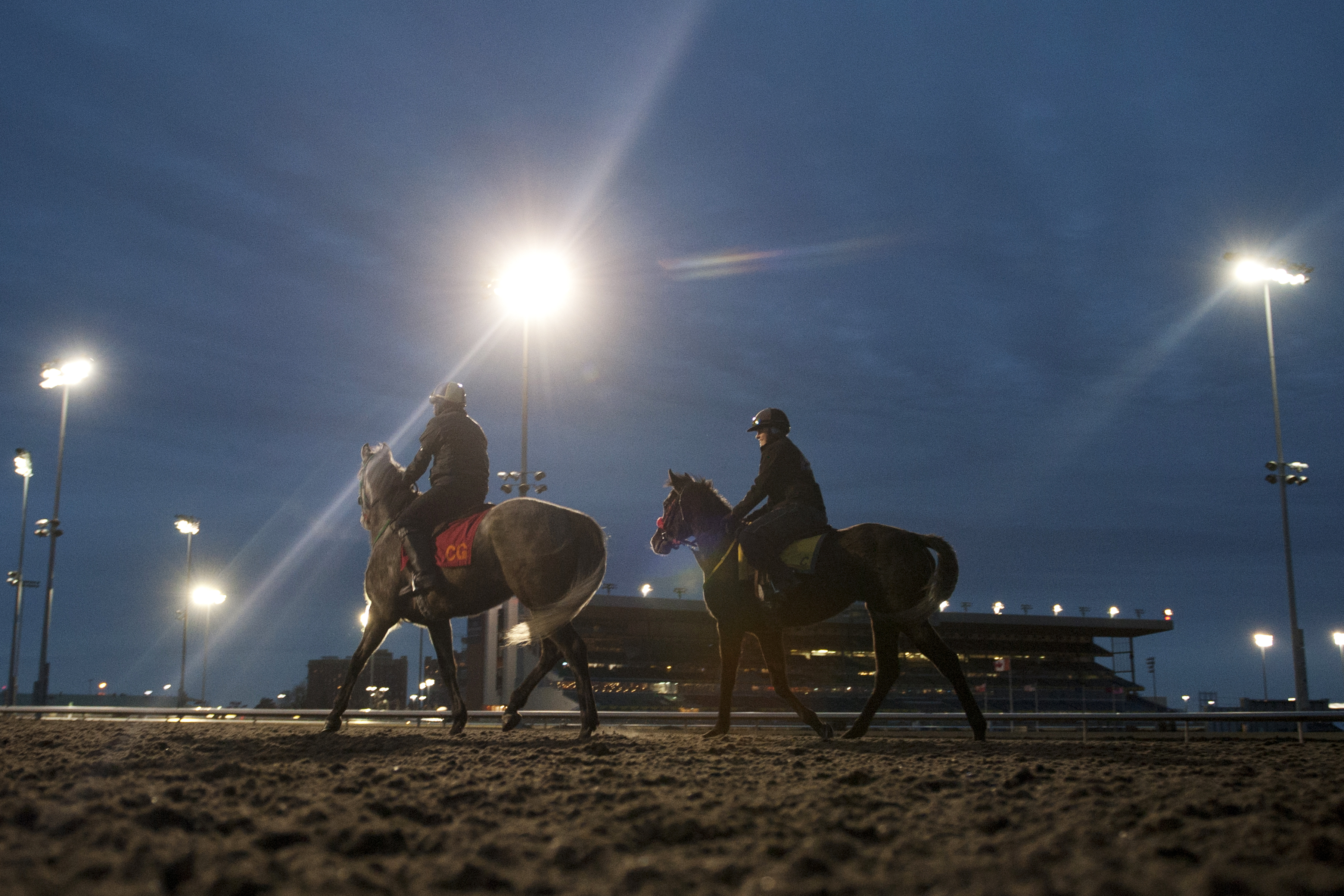 Woodbine racetrack early morning