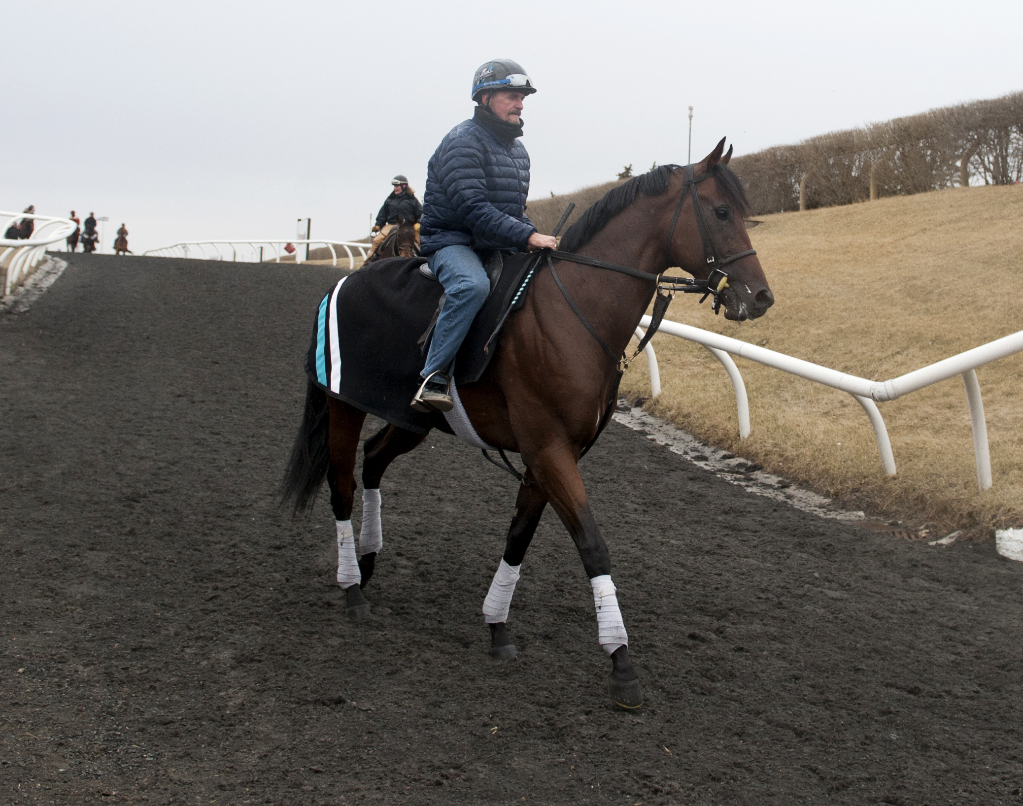 Ami's Flatter at Woodbine April 8