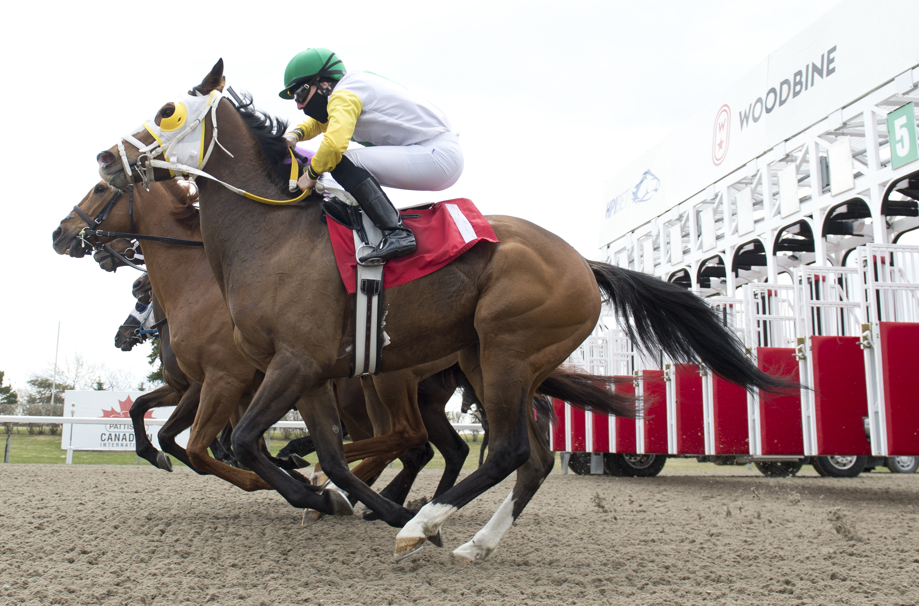 Woodbine scenic