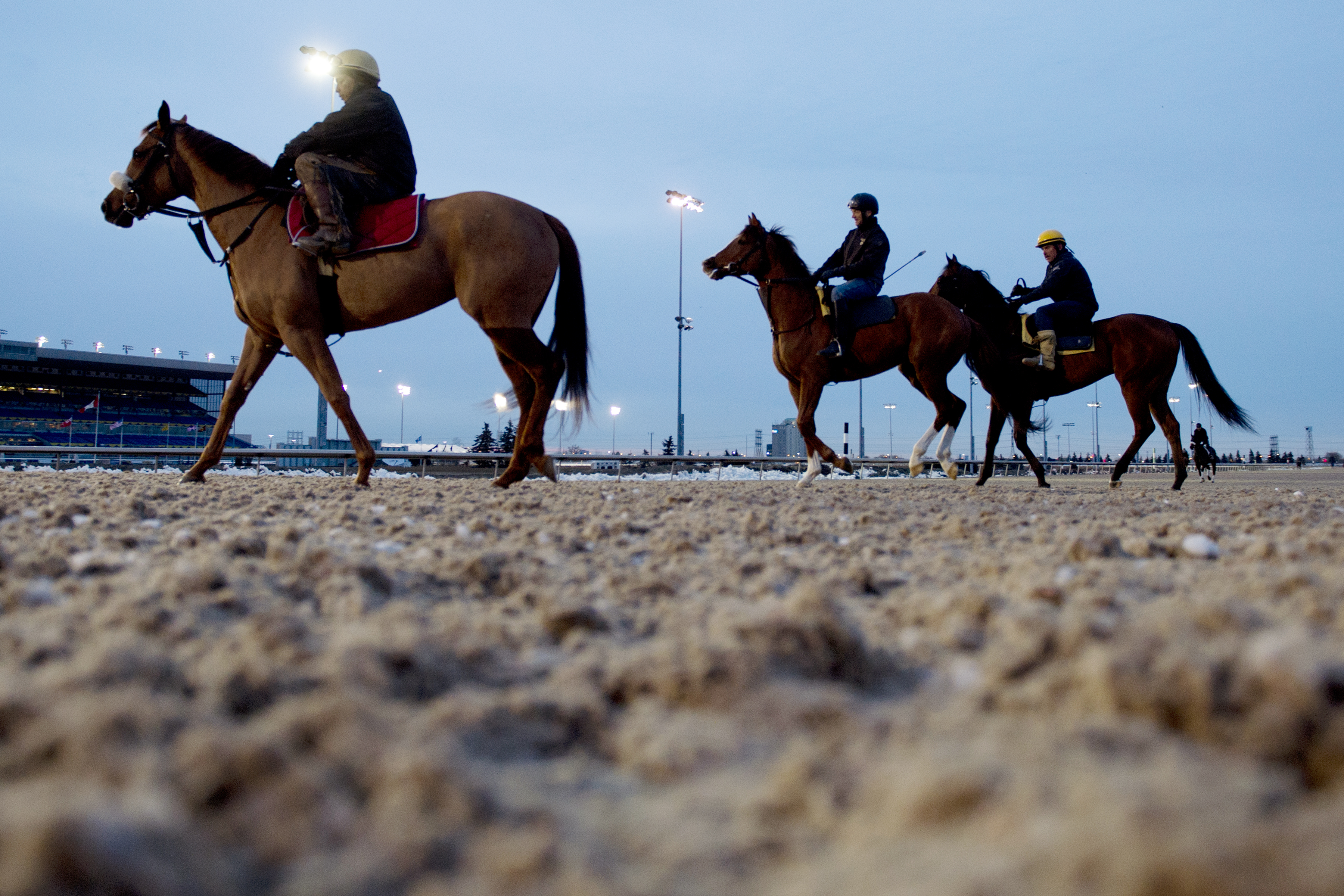 Woodbine's new Tapeta surface