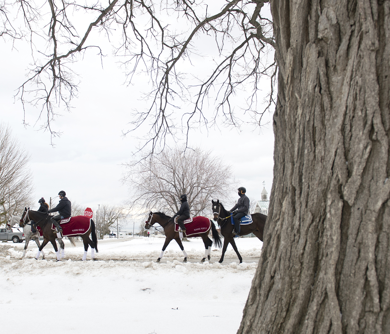 Snow at Woodbine Racetrack