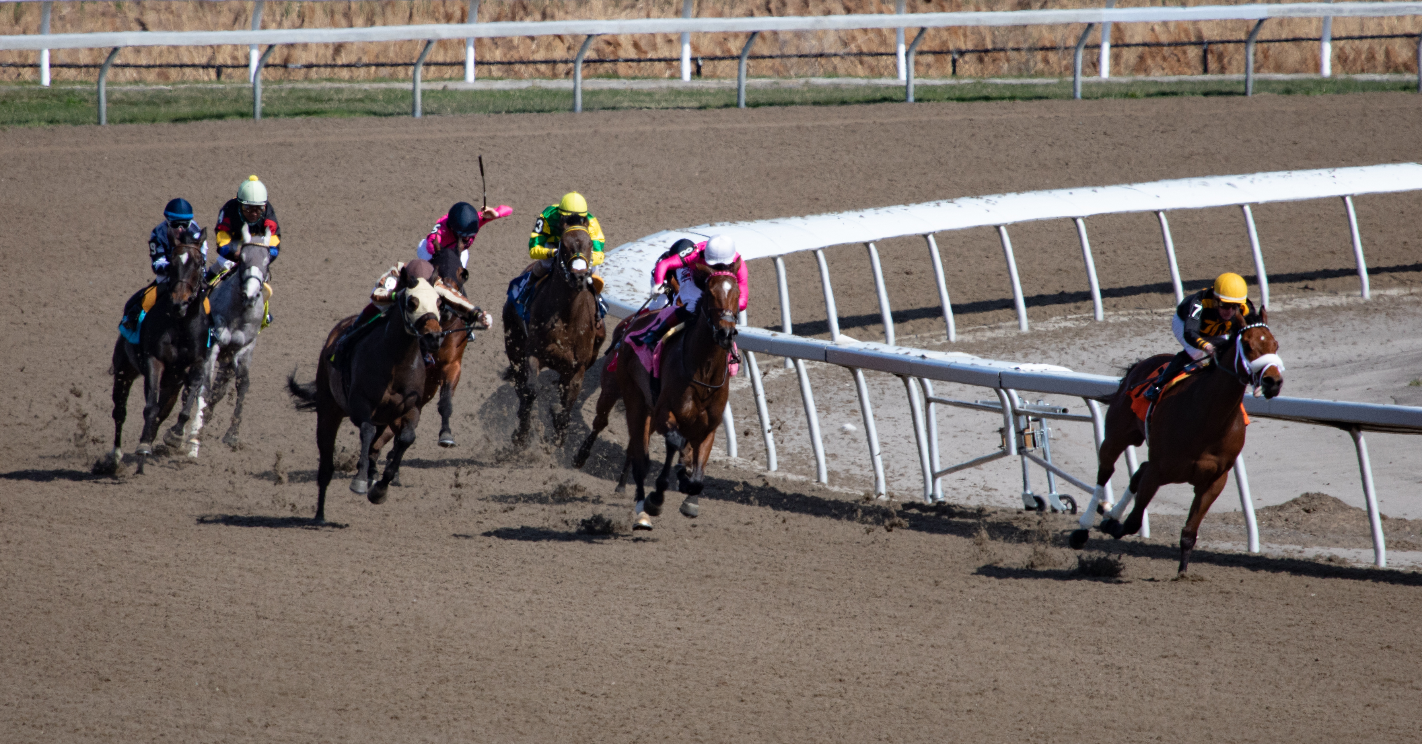 Woodbine scenic