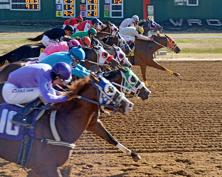 Racing at Will Rogers Downs, November 2019