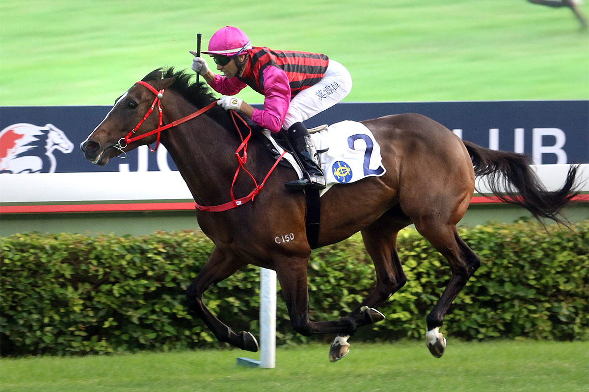 Waikuku wins the 2019 Hong Kong Jockey Club Mile
