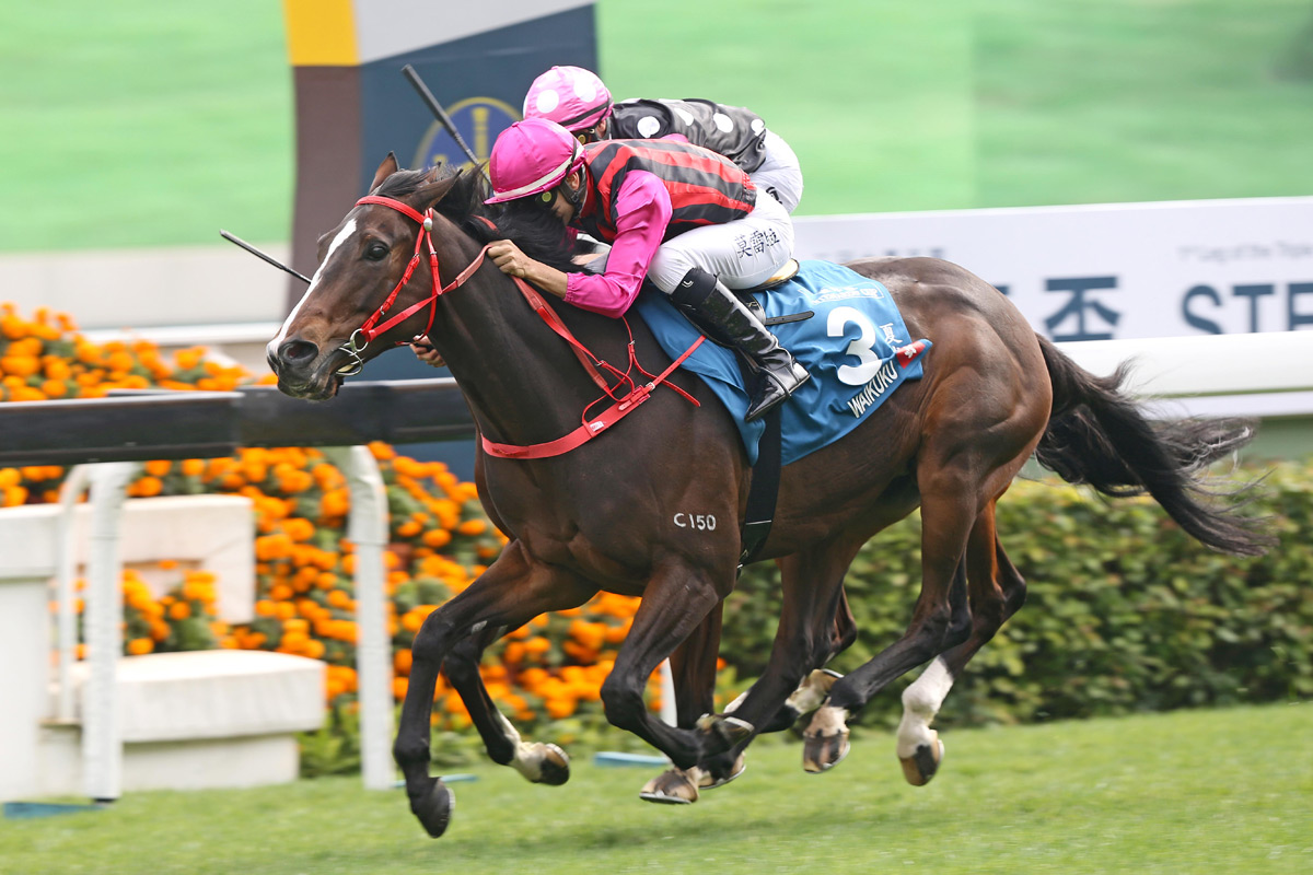 Waikuku wins the 2020 Stewards Cup