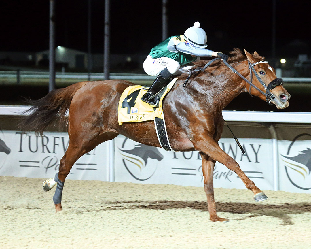 Wait for Nairobi wins a Dec. 3 allowance at Turfway Park