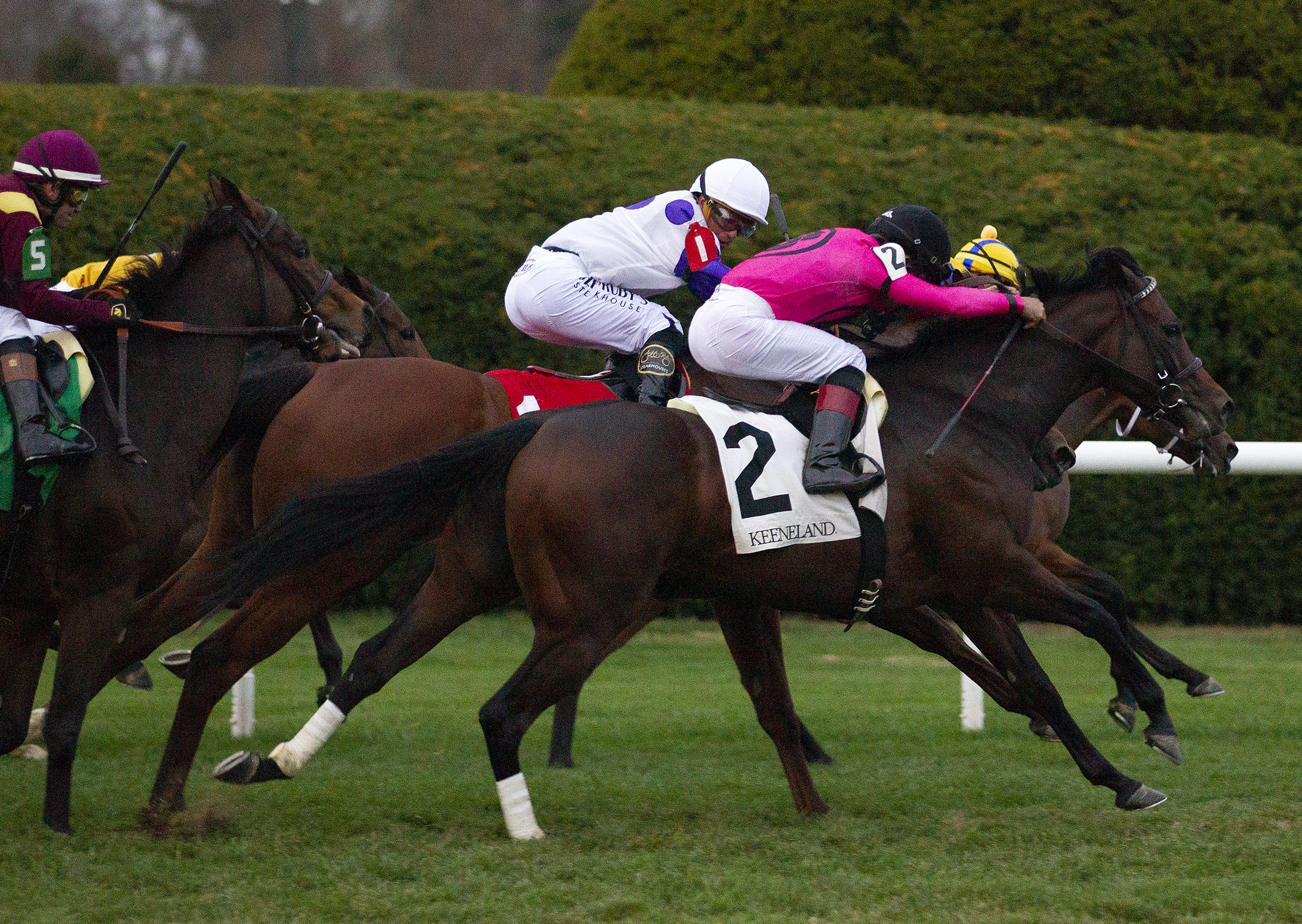 Wakanaka (No. 2) wins the Fall Harvest at Keeneland Nov 5 2022