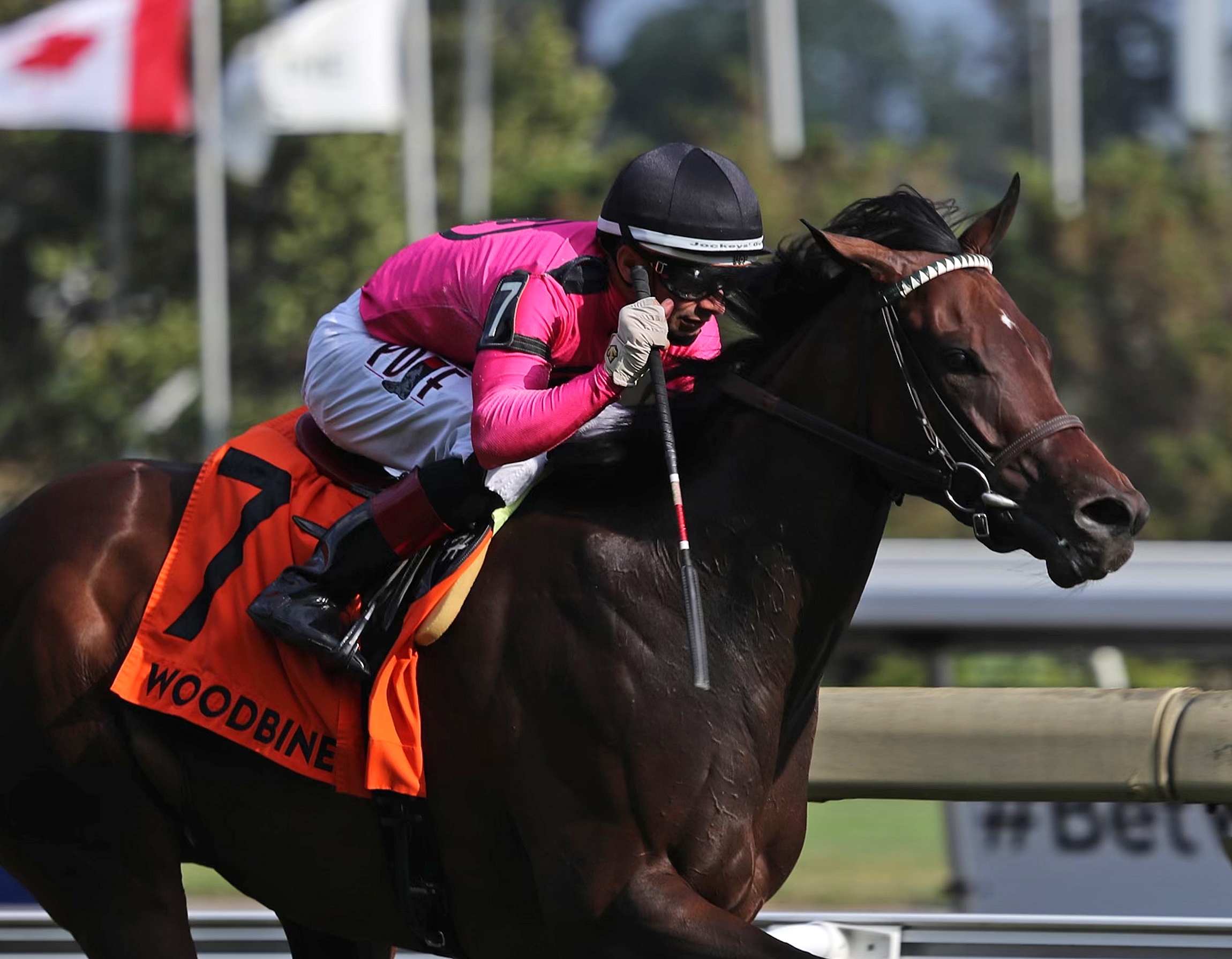 Wakanaka wins the Dance Smarly 7-24-2022