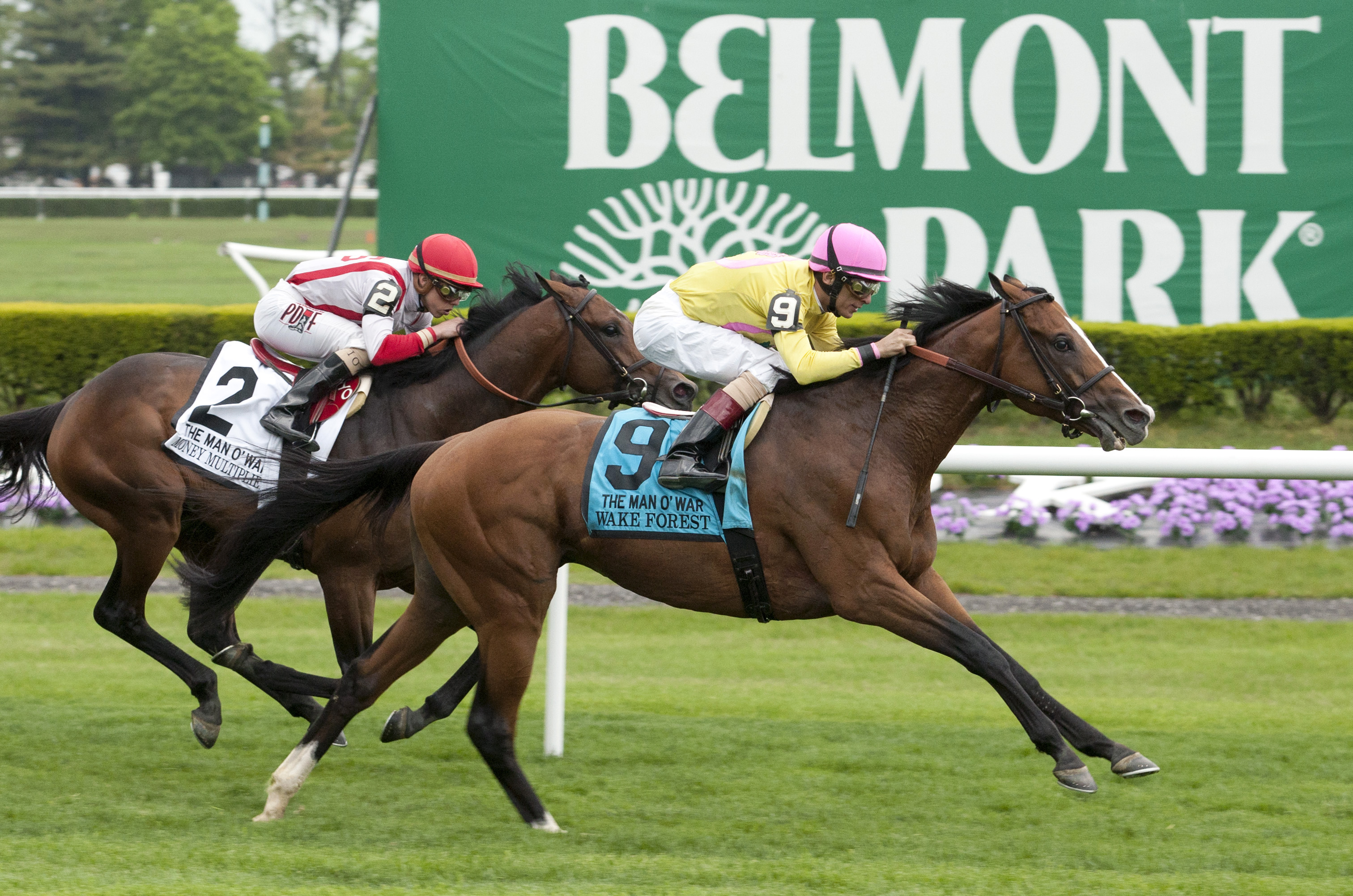 Wake Forest wins the Man o'War Stakes