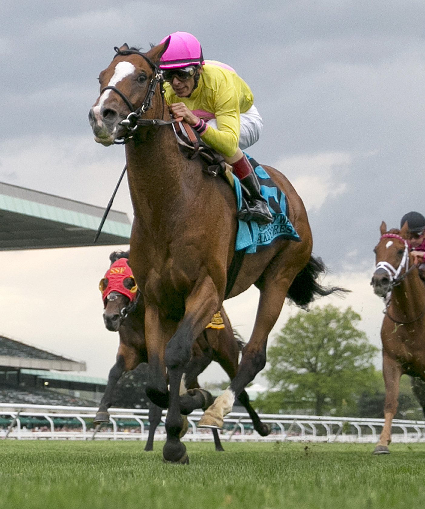Wake Forest wins the Man o'War Stakes