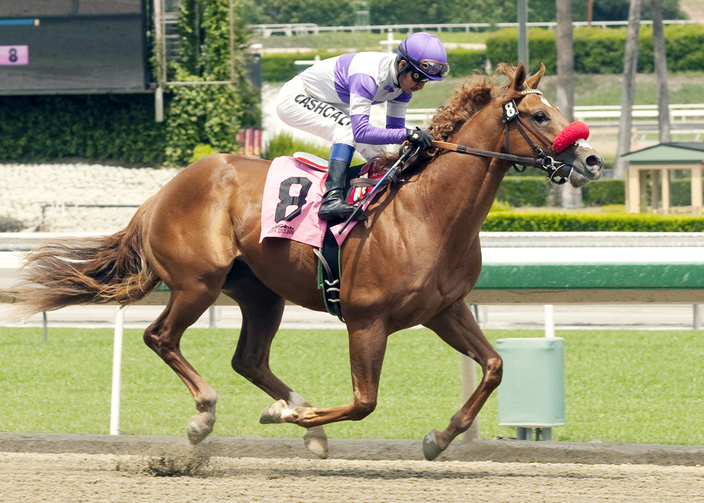 Wake Up Nick sets a track record winning a maiden
