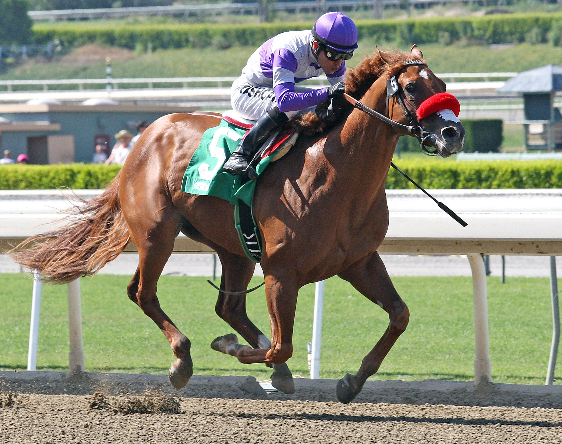 Wake Up Nick wins the Santa Anita Juvenile Stakes