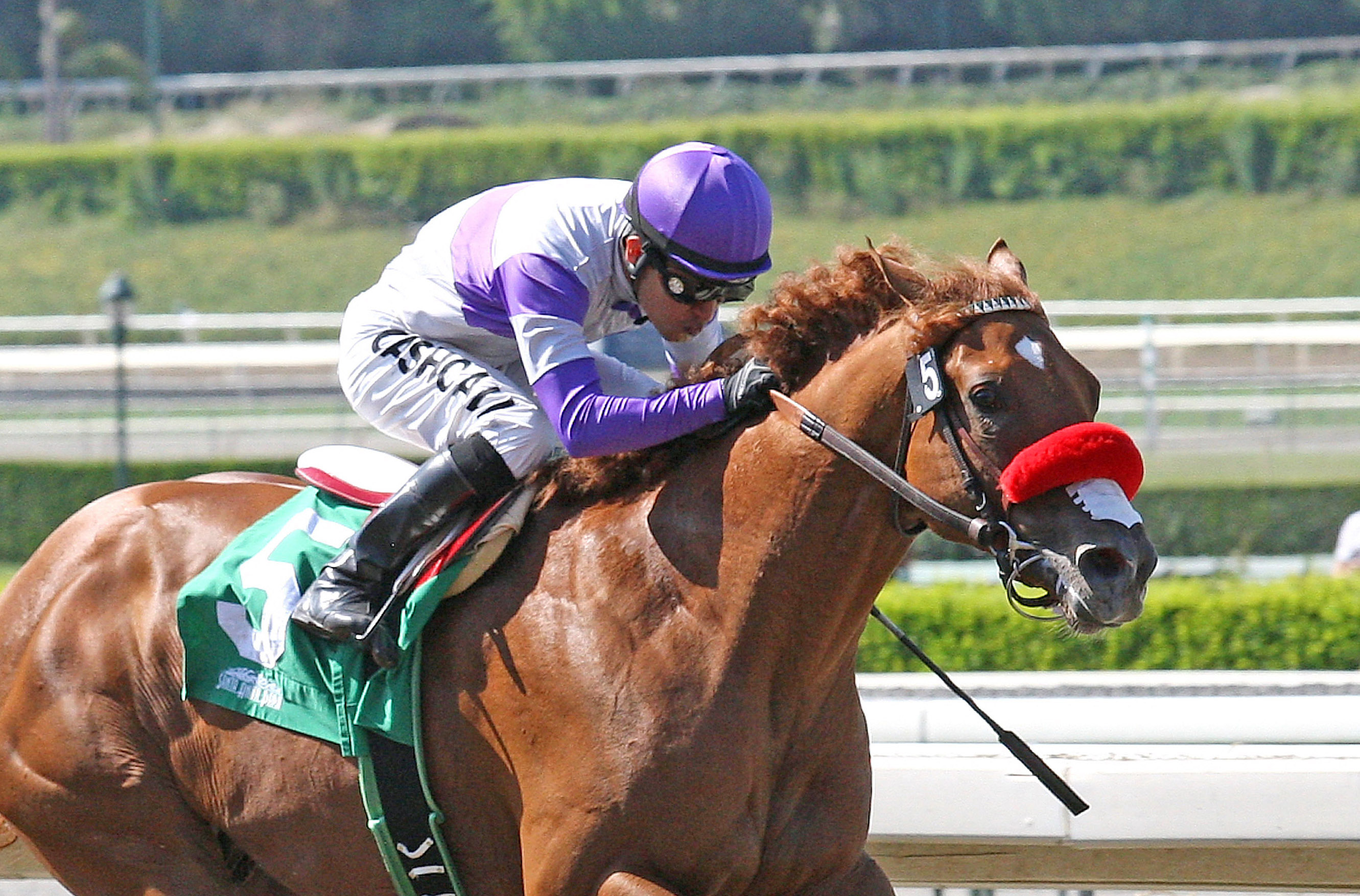 Wake Up Nick wins the Santa Anita Juvenile Stakes