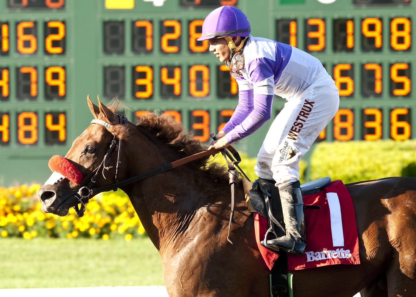 Wake Up Nick after winning the Barretts Juvenile