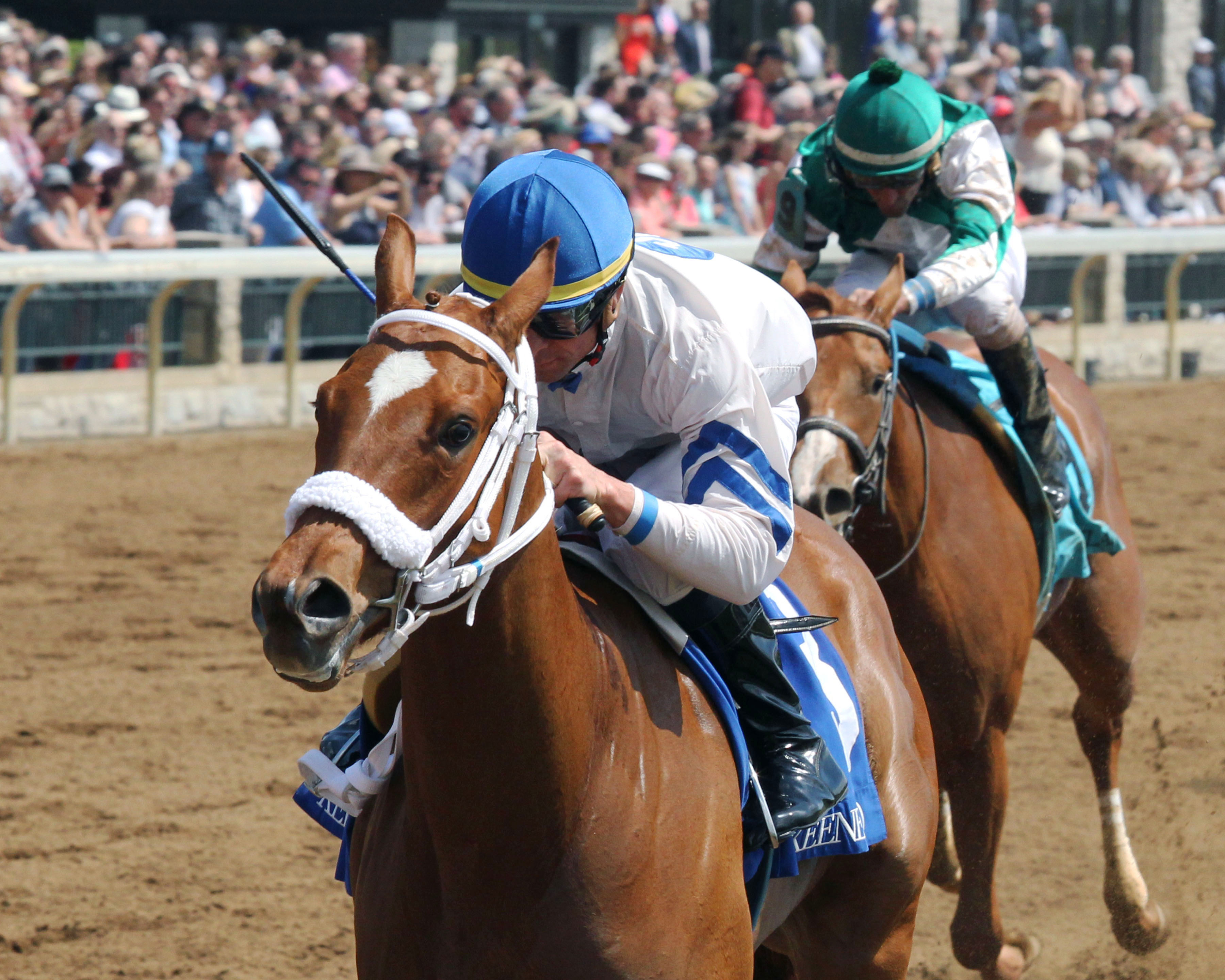 Waki Patriot wins an April 20, 2017 maiden race
