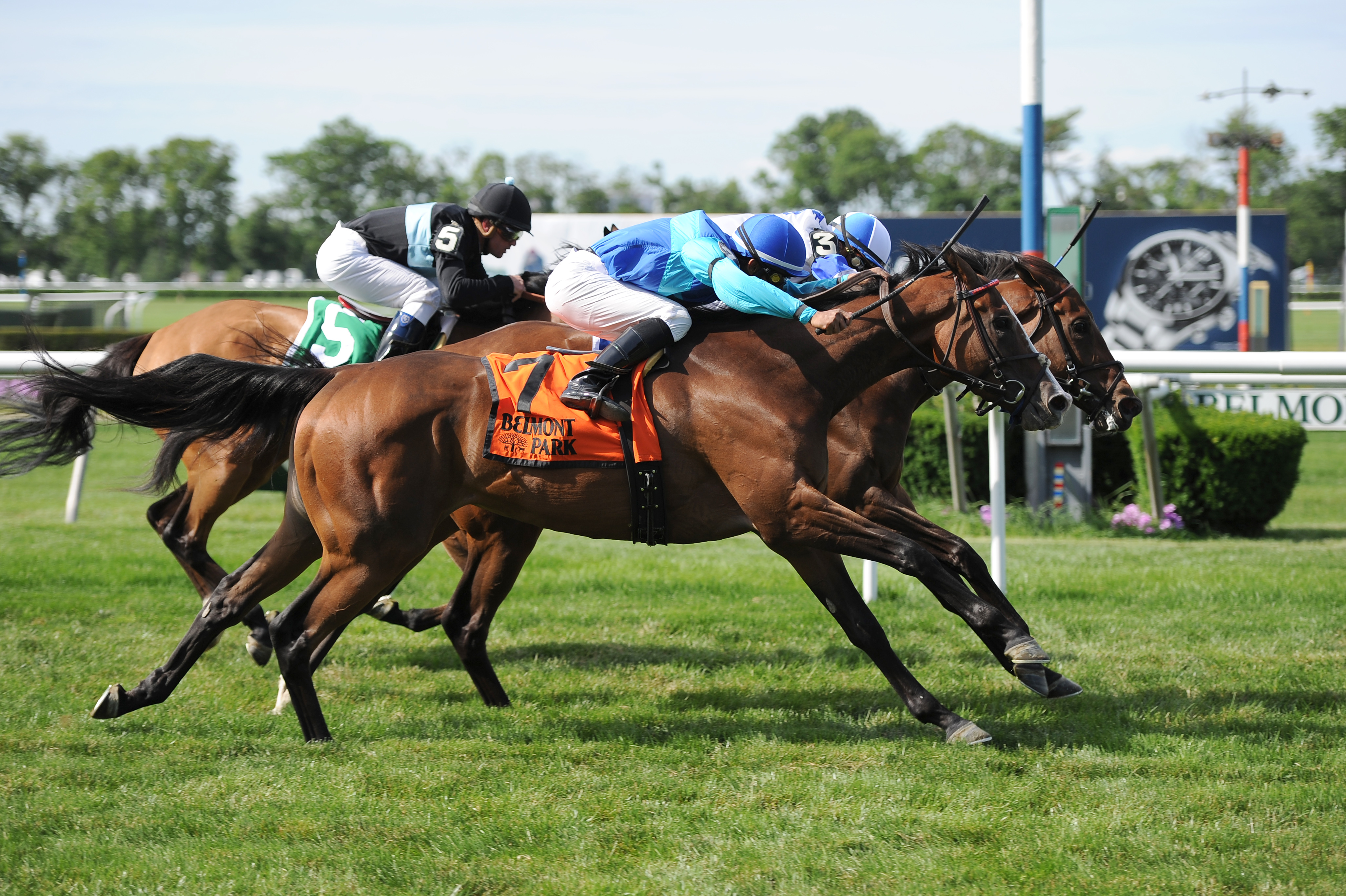 Walk Close wins 2014 Wild Applause