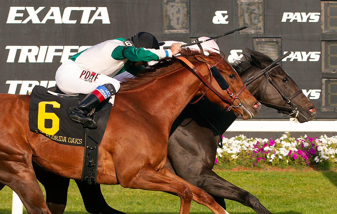 Walk In Marrakesh (6) finishes second in the Florida Oaks at Tampa Bay Downs