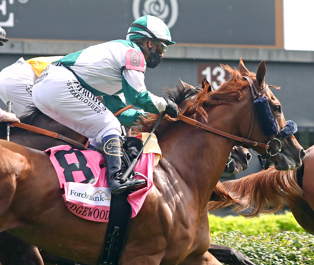 Walk in Marrakesh finishes sixth in the Edgewood Stakes at Churchill Downs
