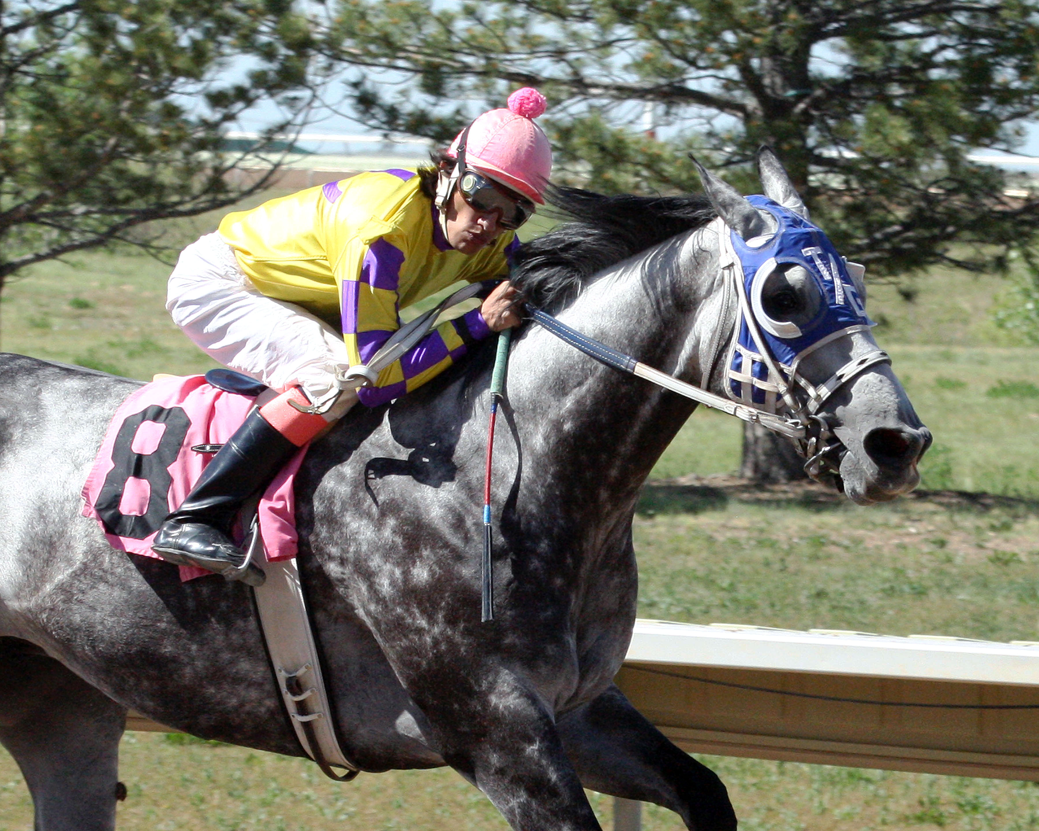 Wally Van wins the Arapahoe Park Sprint