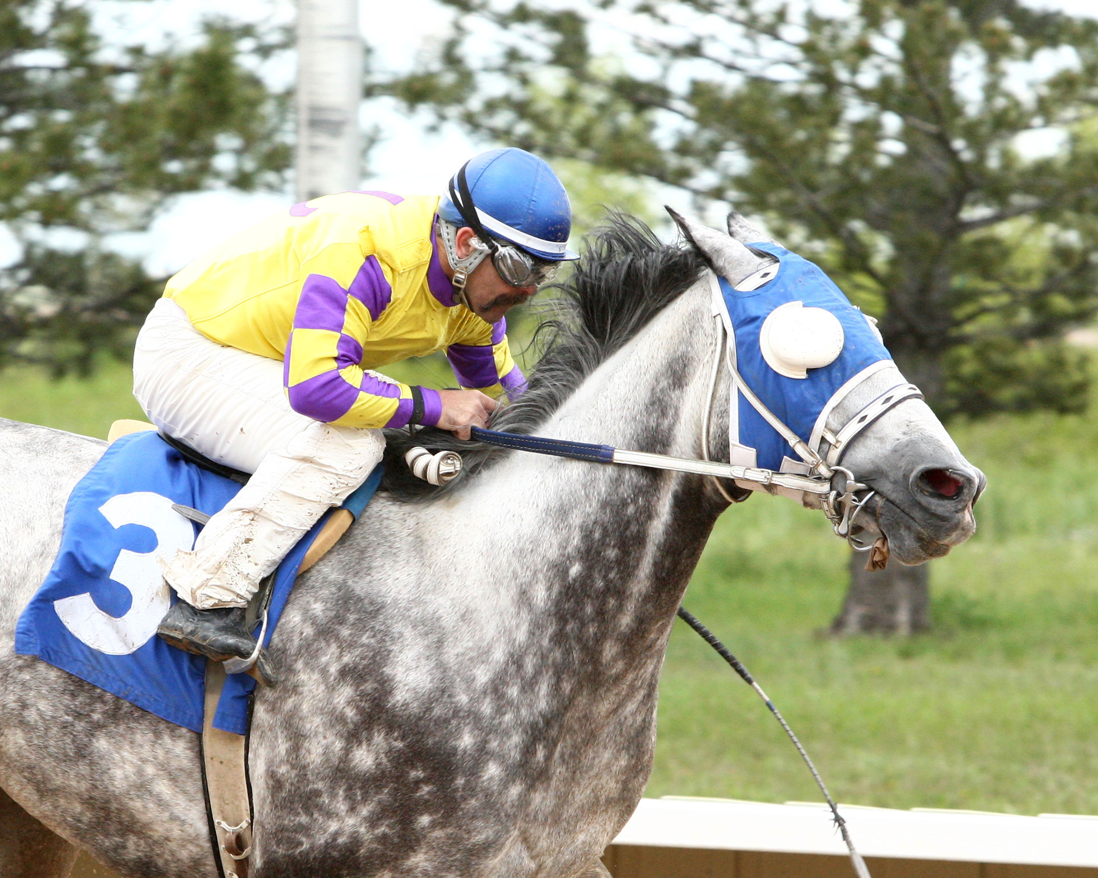 Wally Van wins the 2015 Arapahoe Sprint