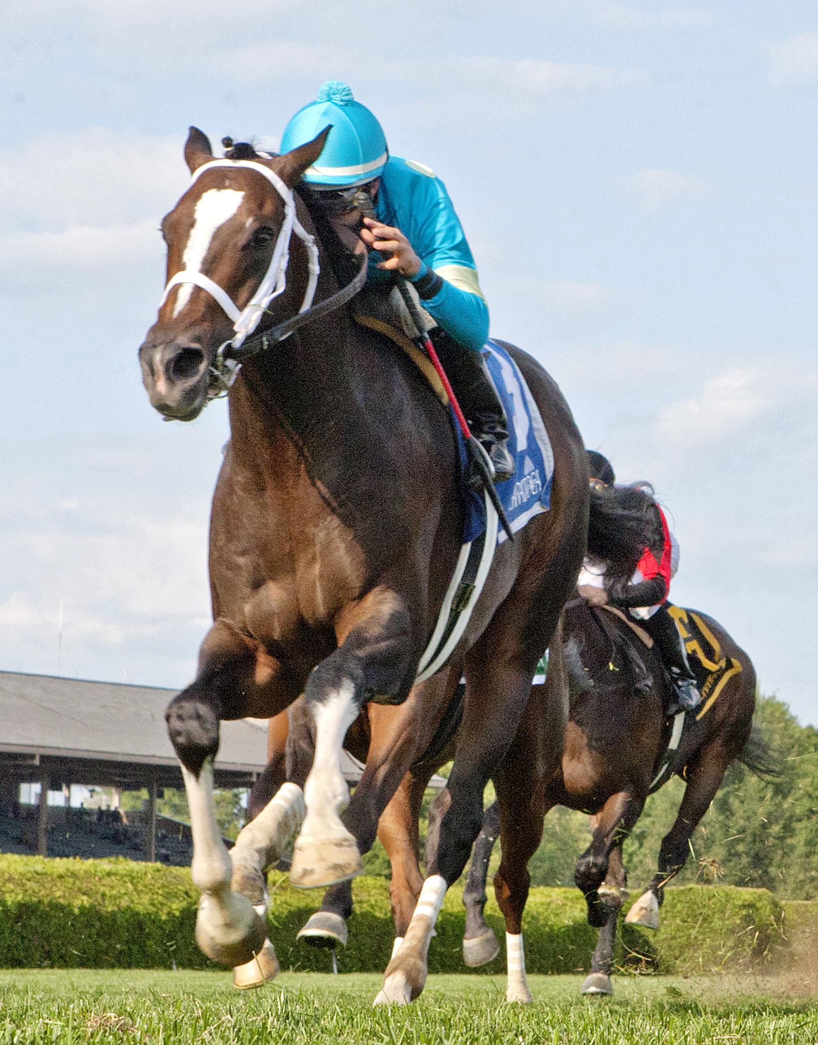 Wallyanna wins the National Museum of Racing Hall of Fame Stakes