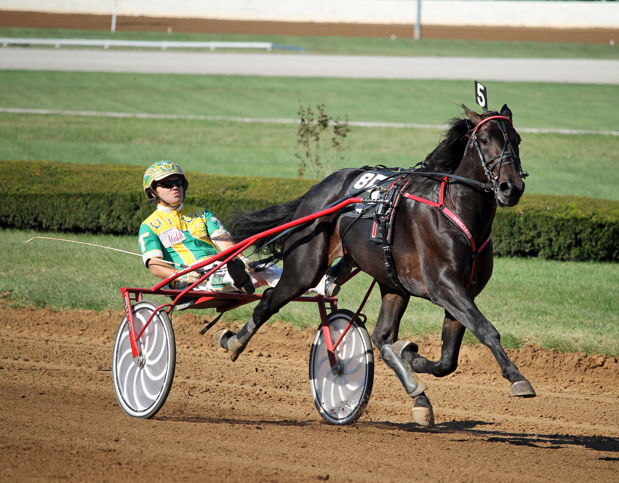 Walner