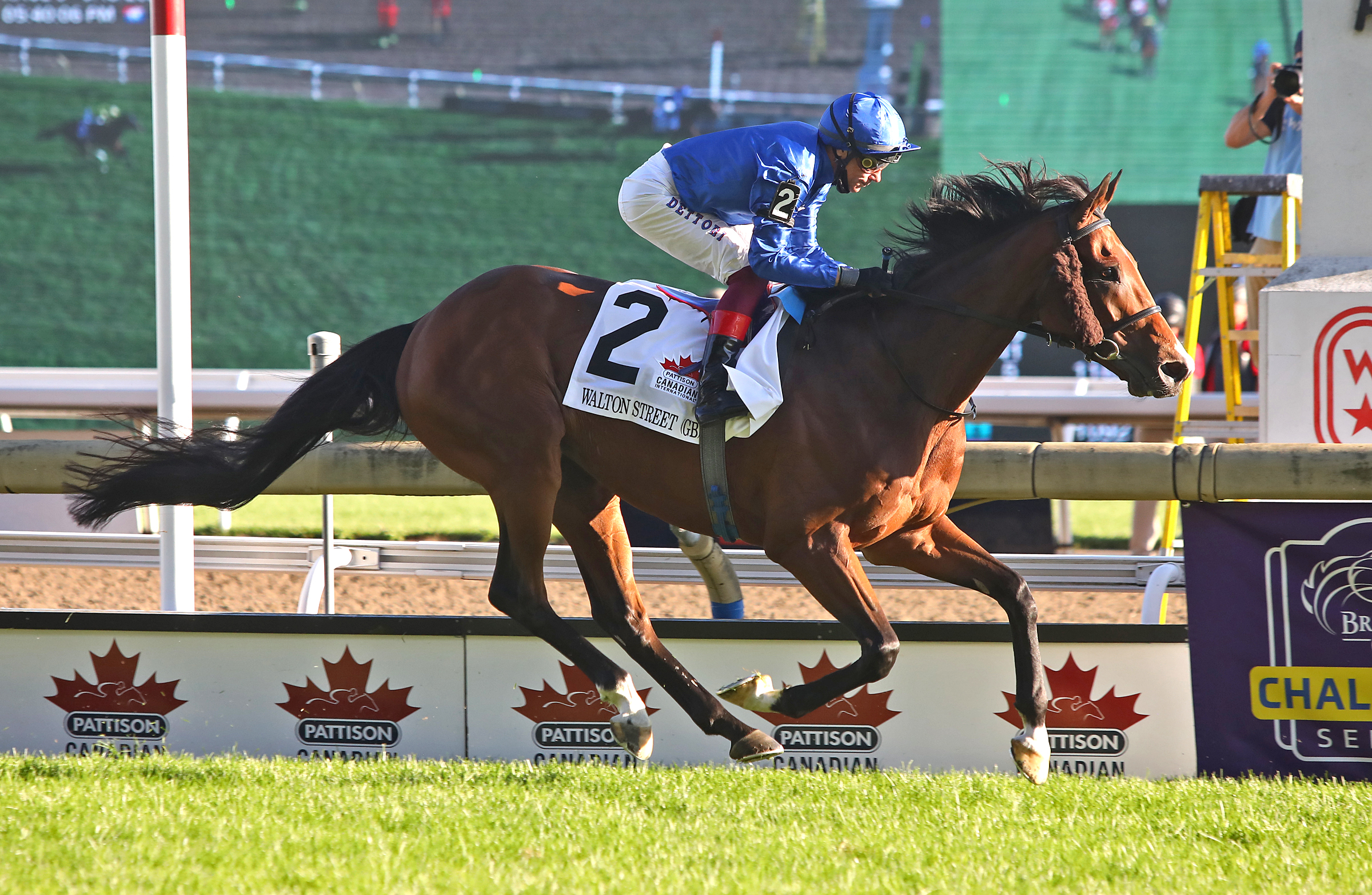 Walton Street - Canadian International S. 2021