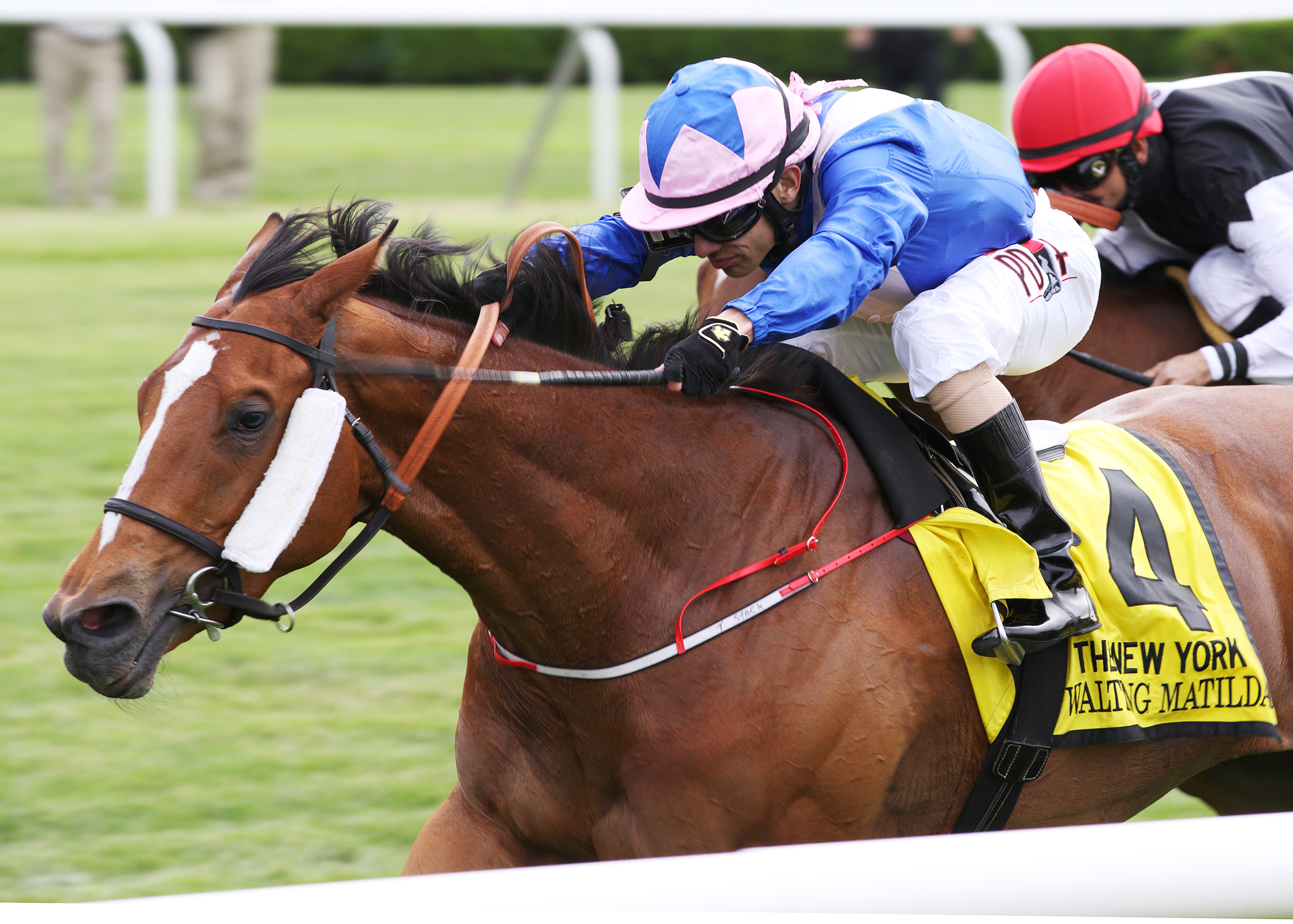 Waltzing Matilda wins the New York Stakes