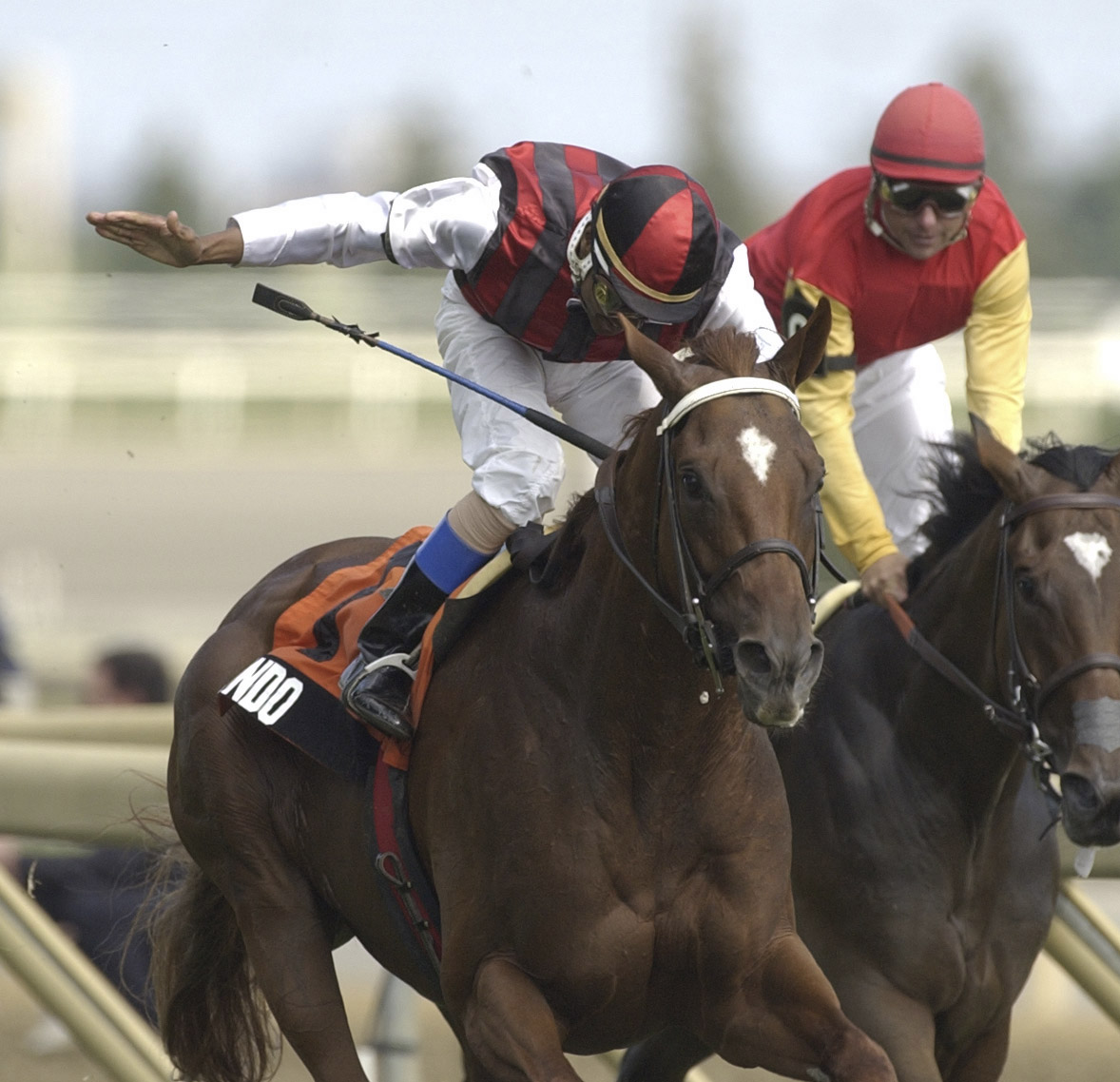 Wando wins the 2003 Breeders Stakes - horiztonal