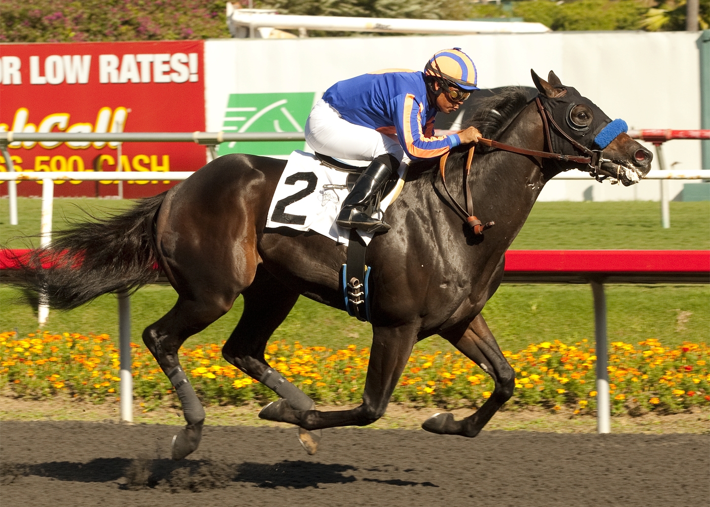 Santa Anita: San Vicente a starting point for War Academy