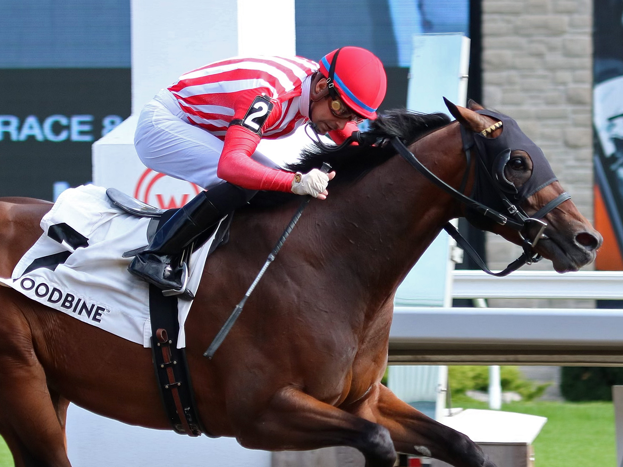 War Bomber win Seagram Cup 8-14-2022