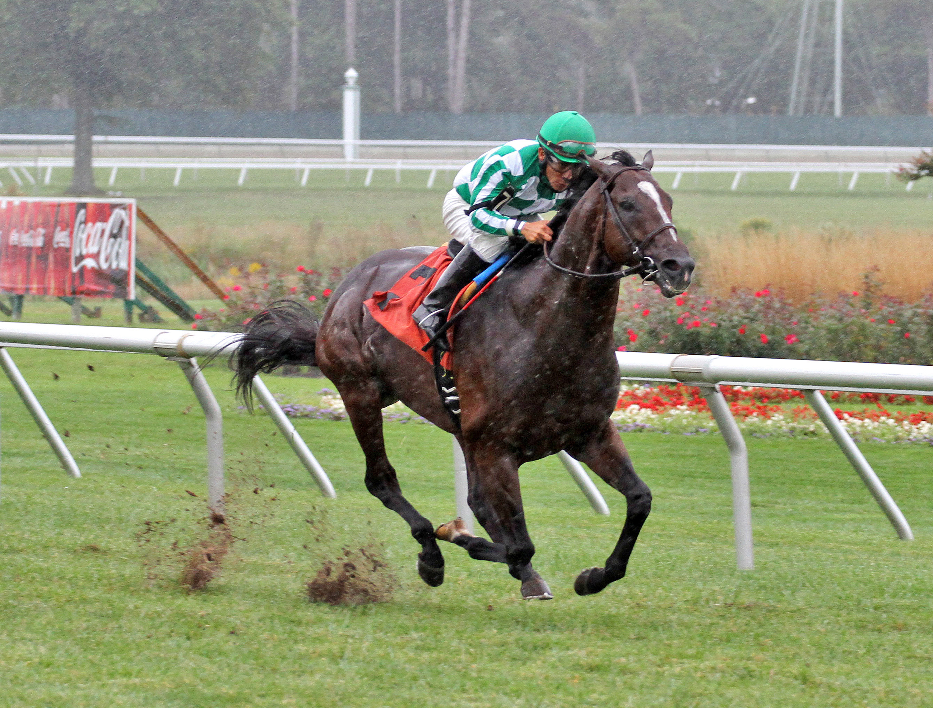 War Correspondent wins an allowance