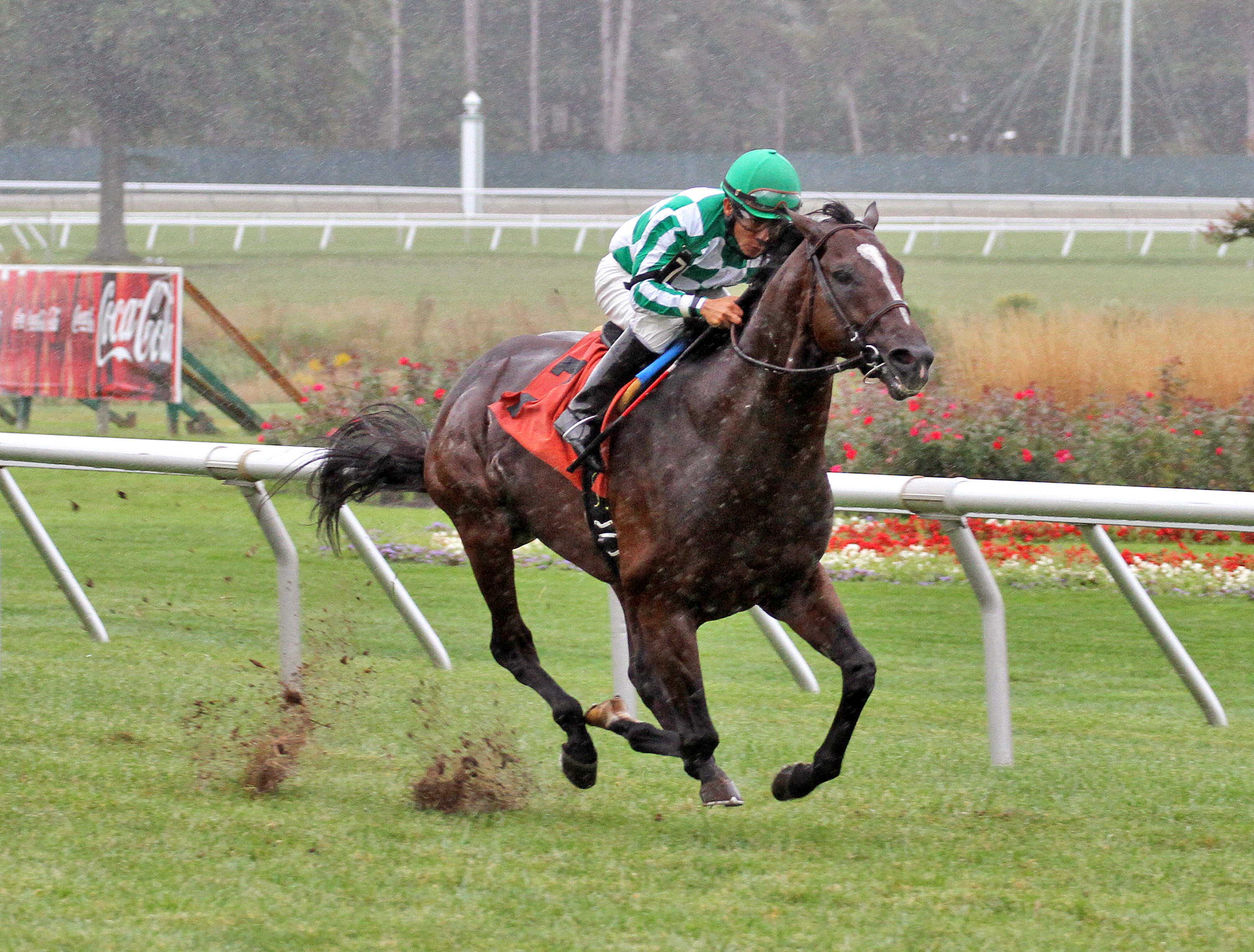 War Correspondent wins an allowance