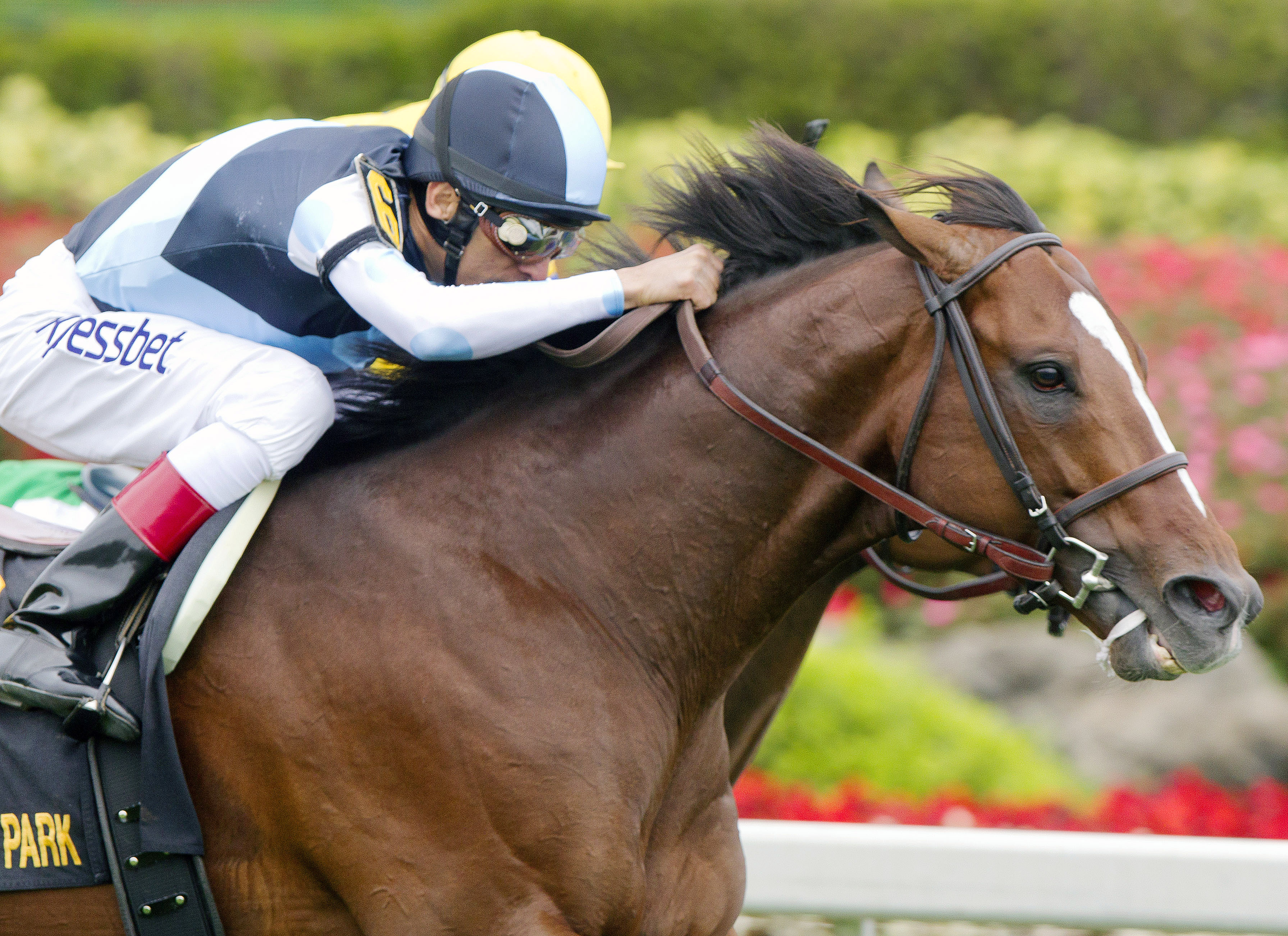 War Correspondent wins the Appleton Stakes