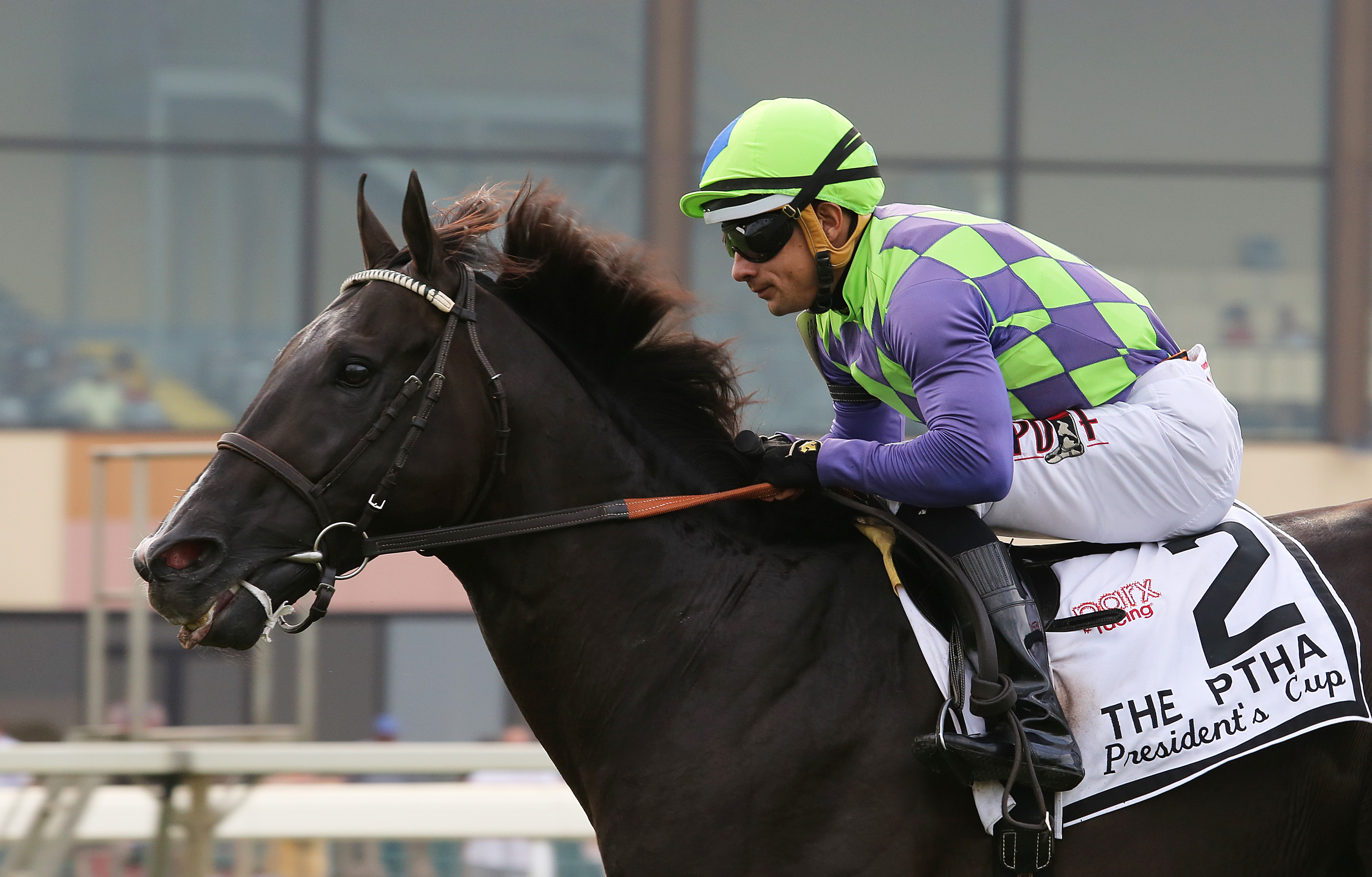 War Dancer 9-10-2016