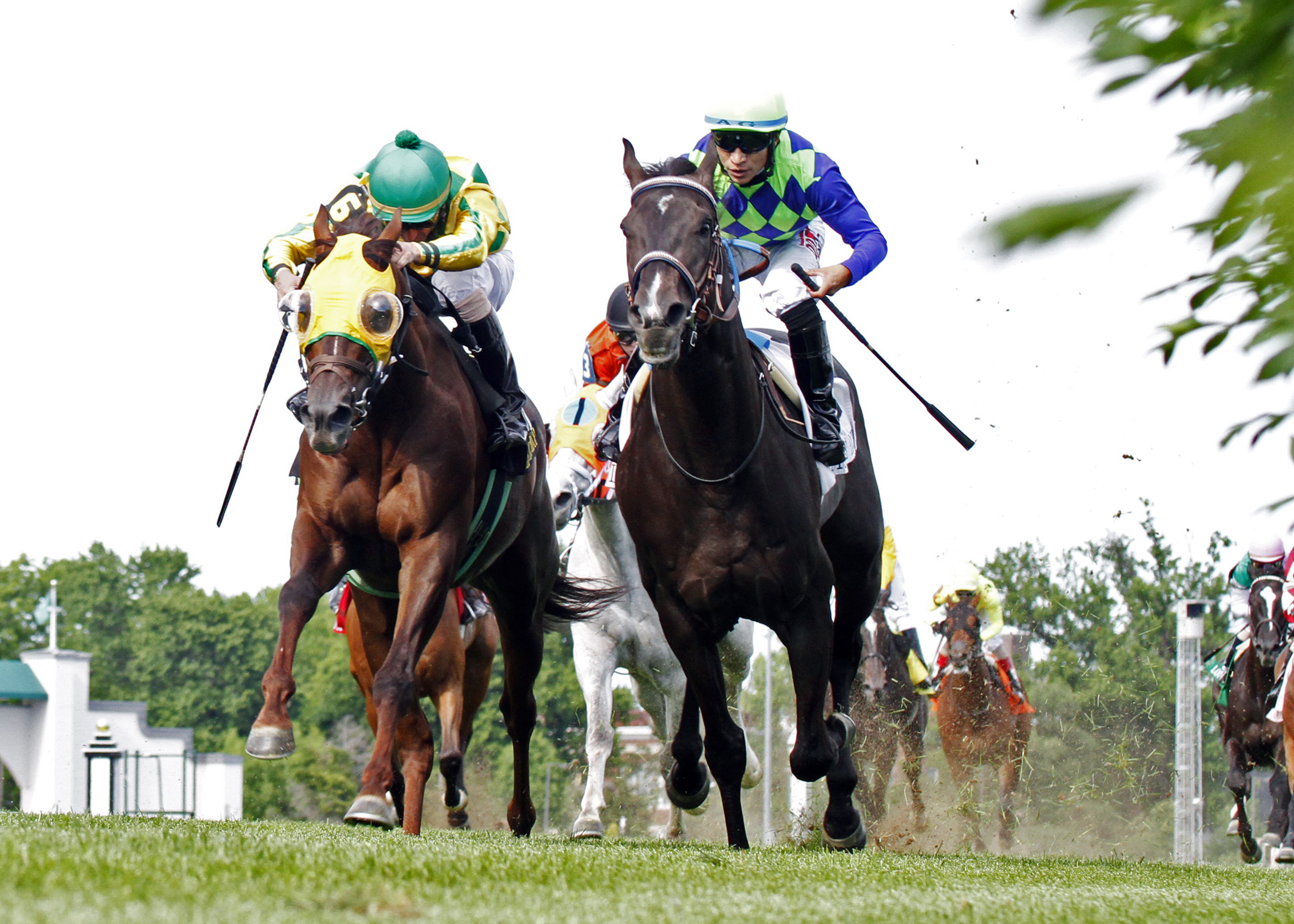 War Dancer wins the Louisville Handicap