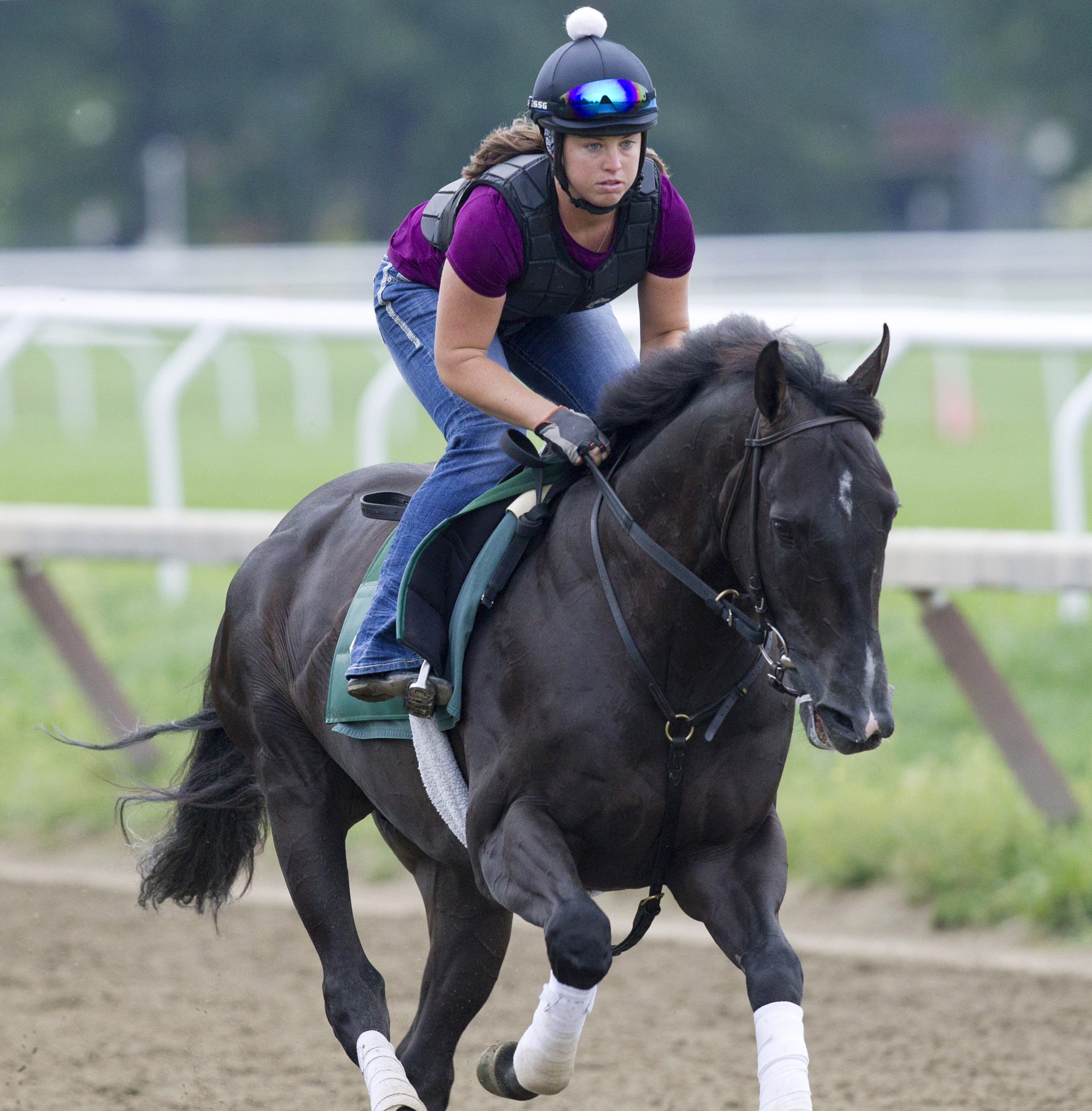 War Dancer trains at Saratoga on Aug. 16