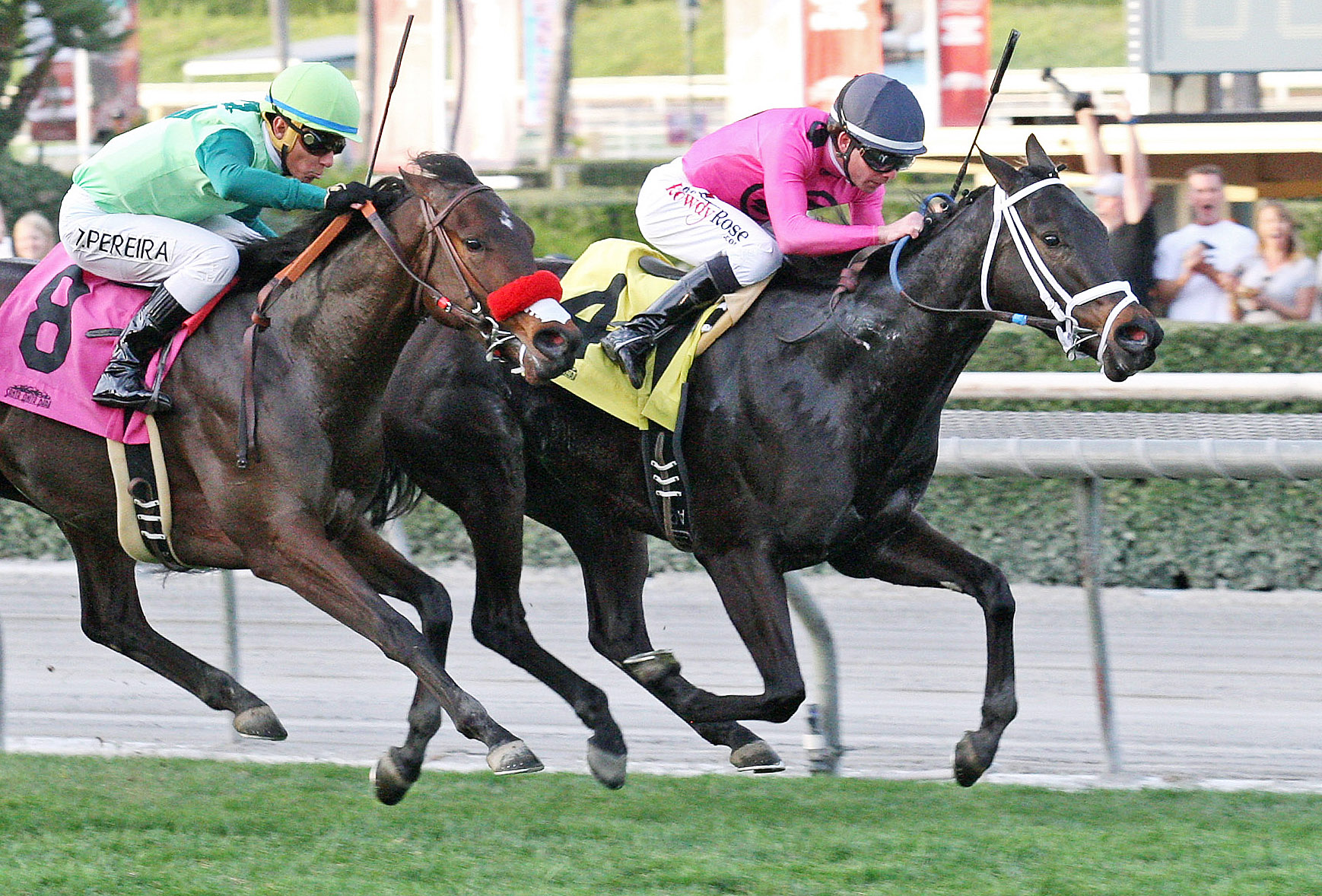 War Heroine wins the Sweet Life Stakes