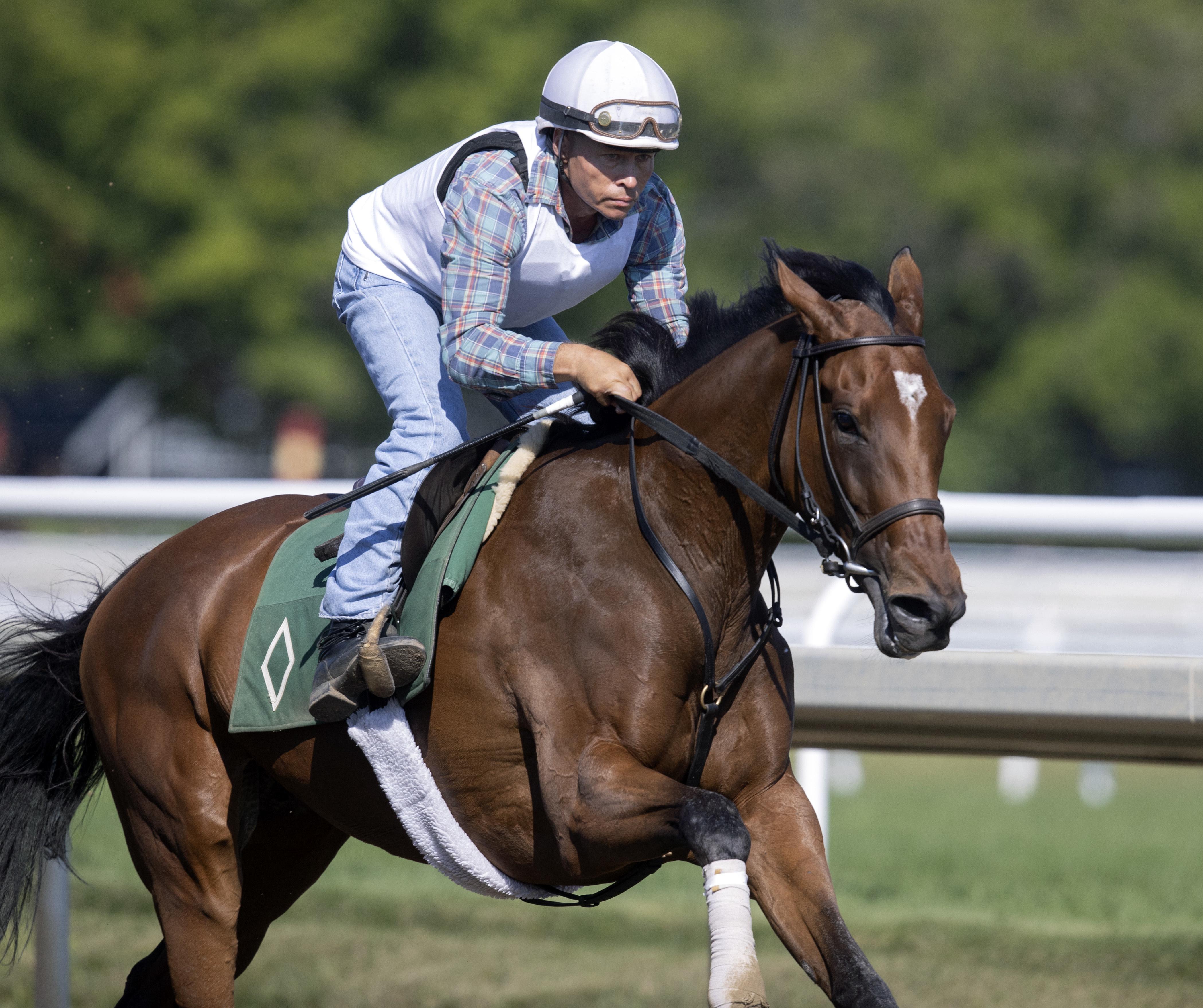 War Like Goddess breezes at Saratoga Aug 19 2022