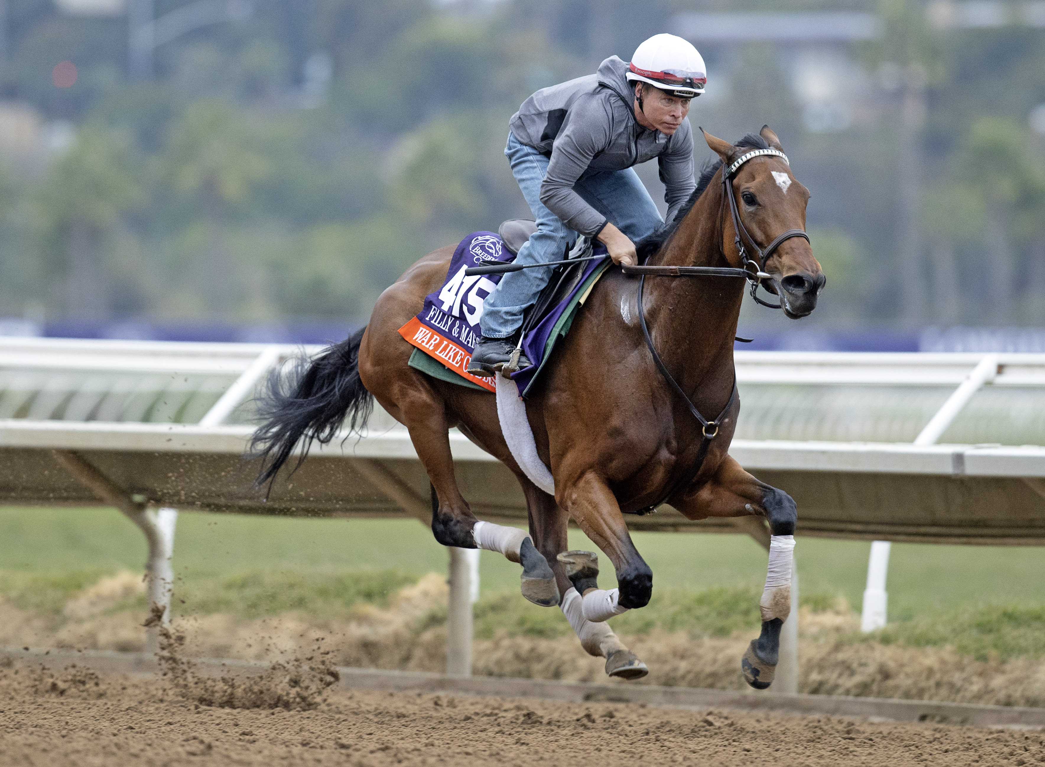 War Like Goddess works at Del Mar 10-31-2021