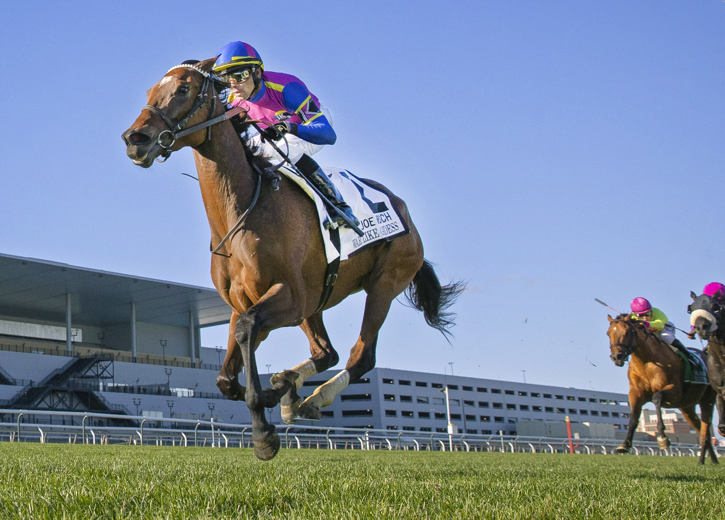 War Like Goddess/Joe Hirsch Turf Classic
