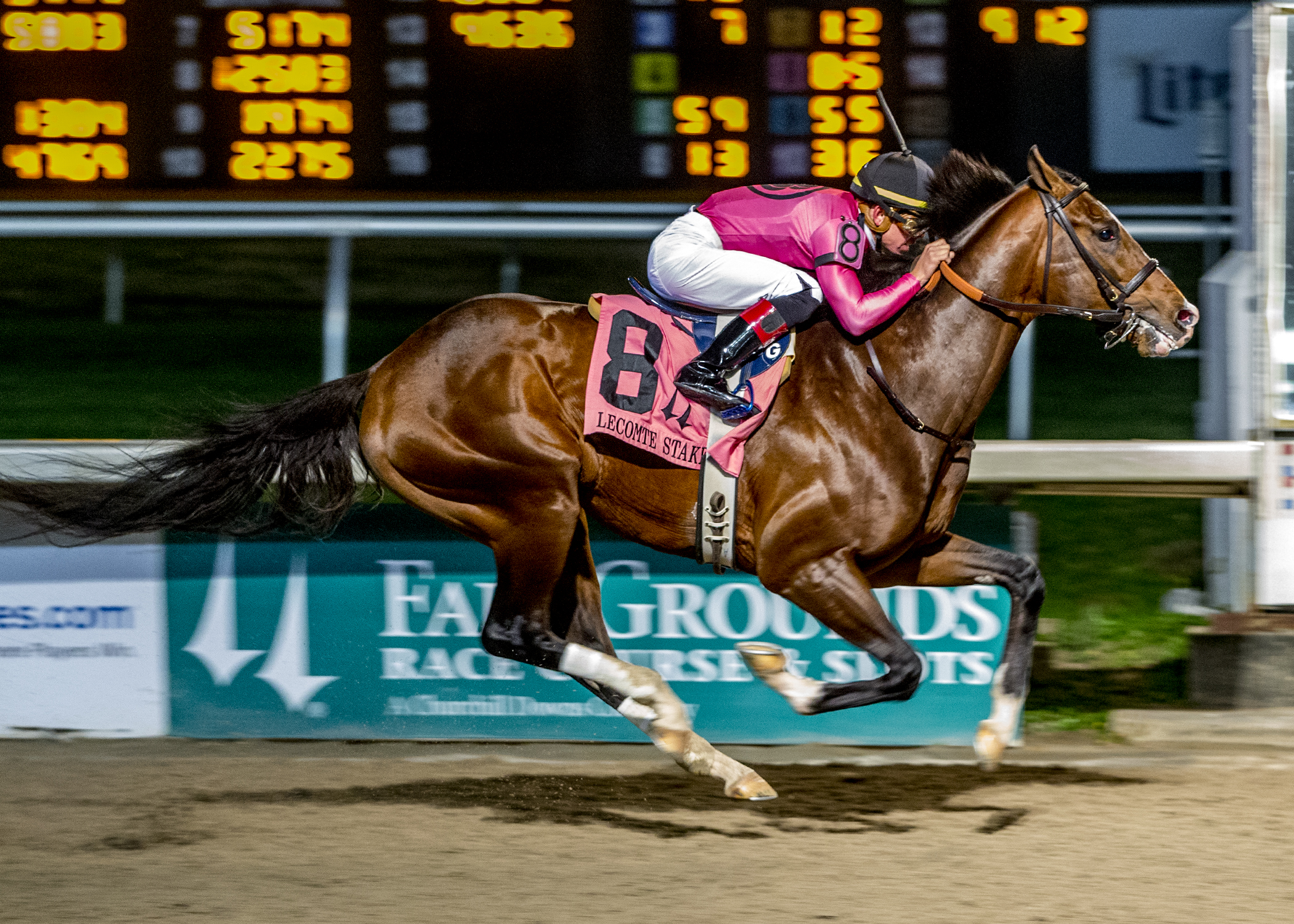 War of Will wins 2019 Lecomte
