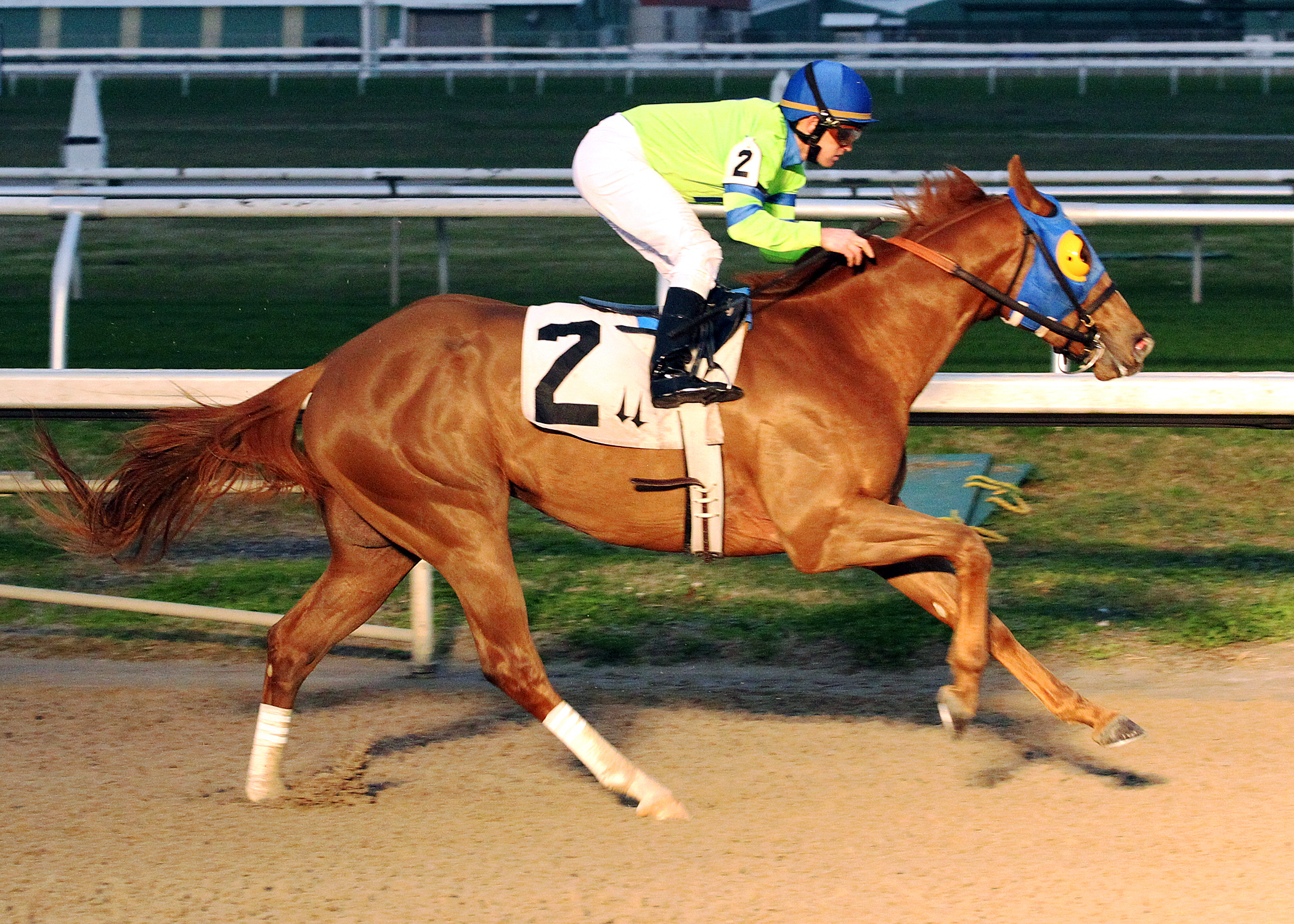 War Story wins a claimer