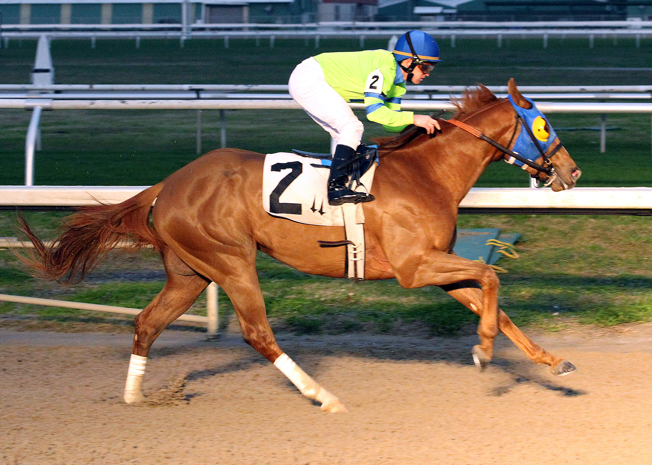 War Story wins a claimer