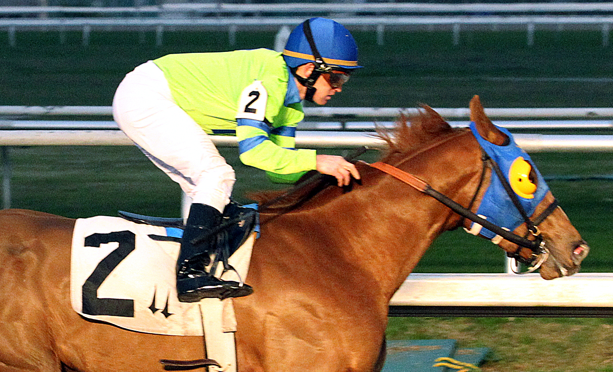 War Story wins a claimer